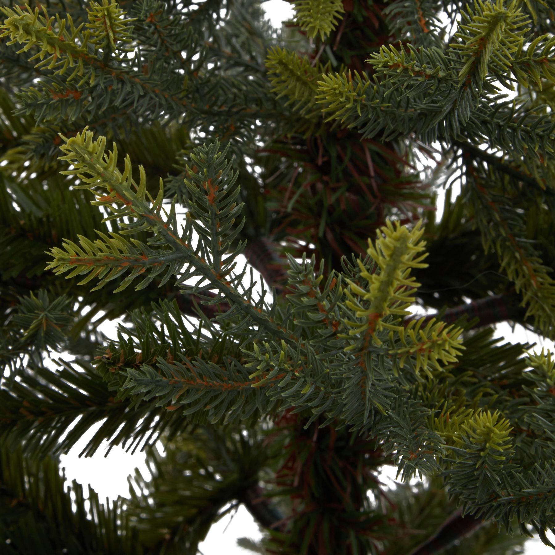 Potted Natural Pine Tree - Image 4