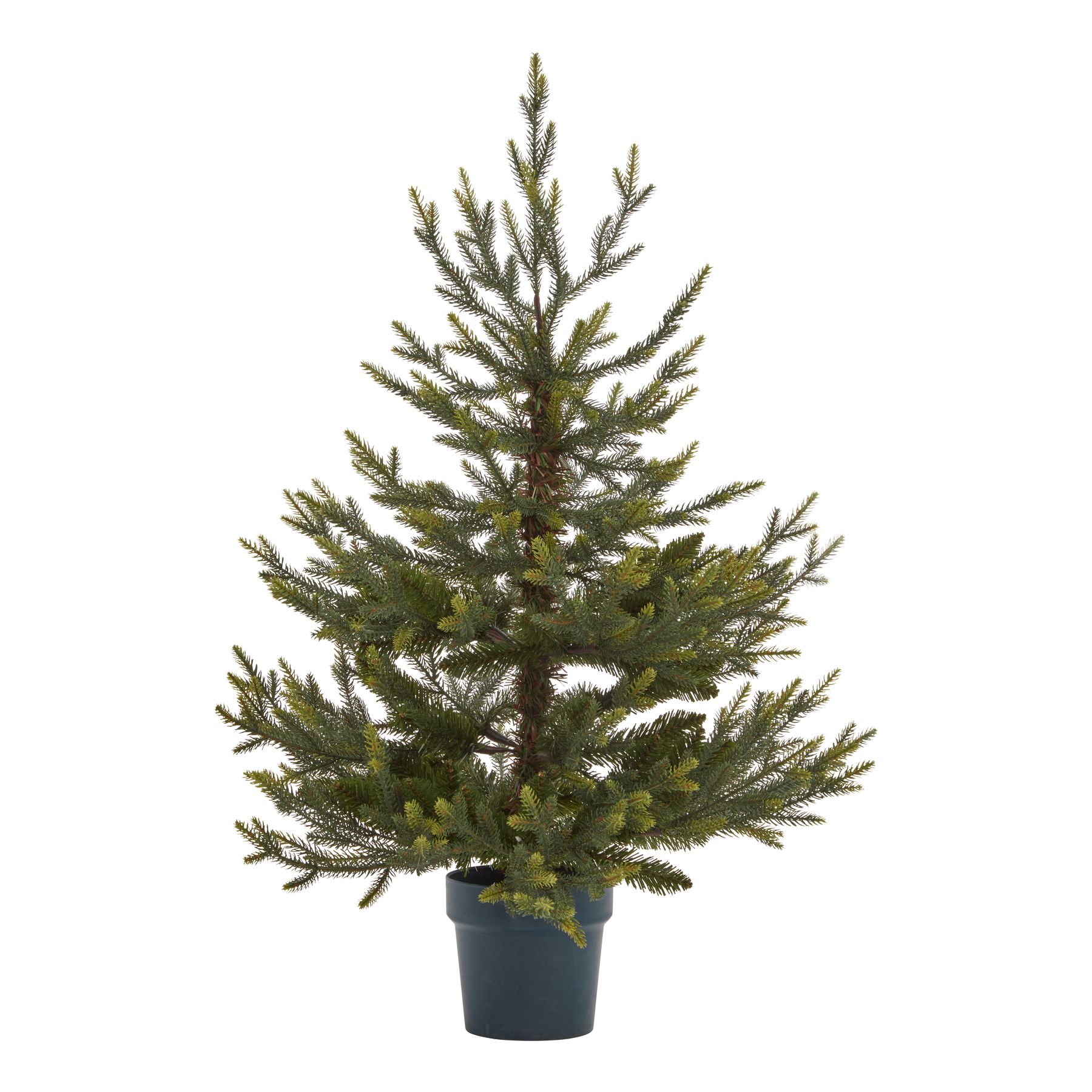 Potted Natural Pine Tree - Image 1