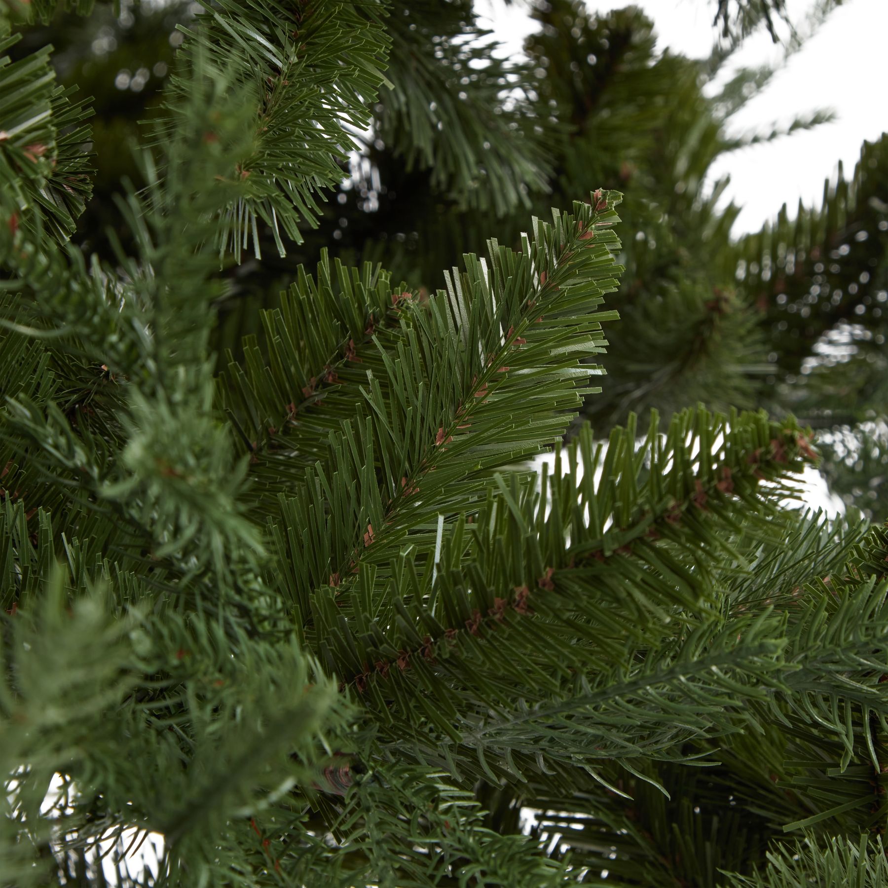 Large Pine Tree - Image 4
