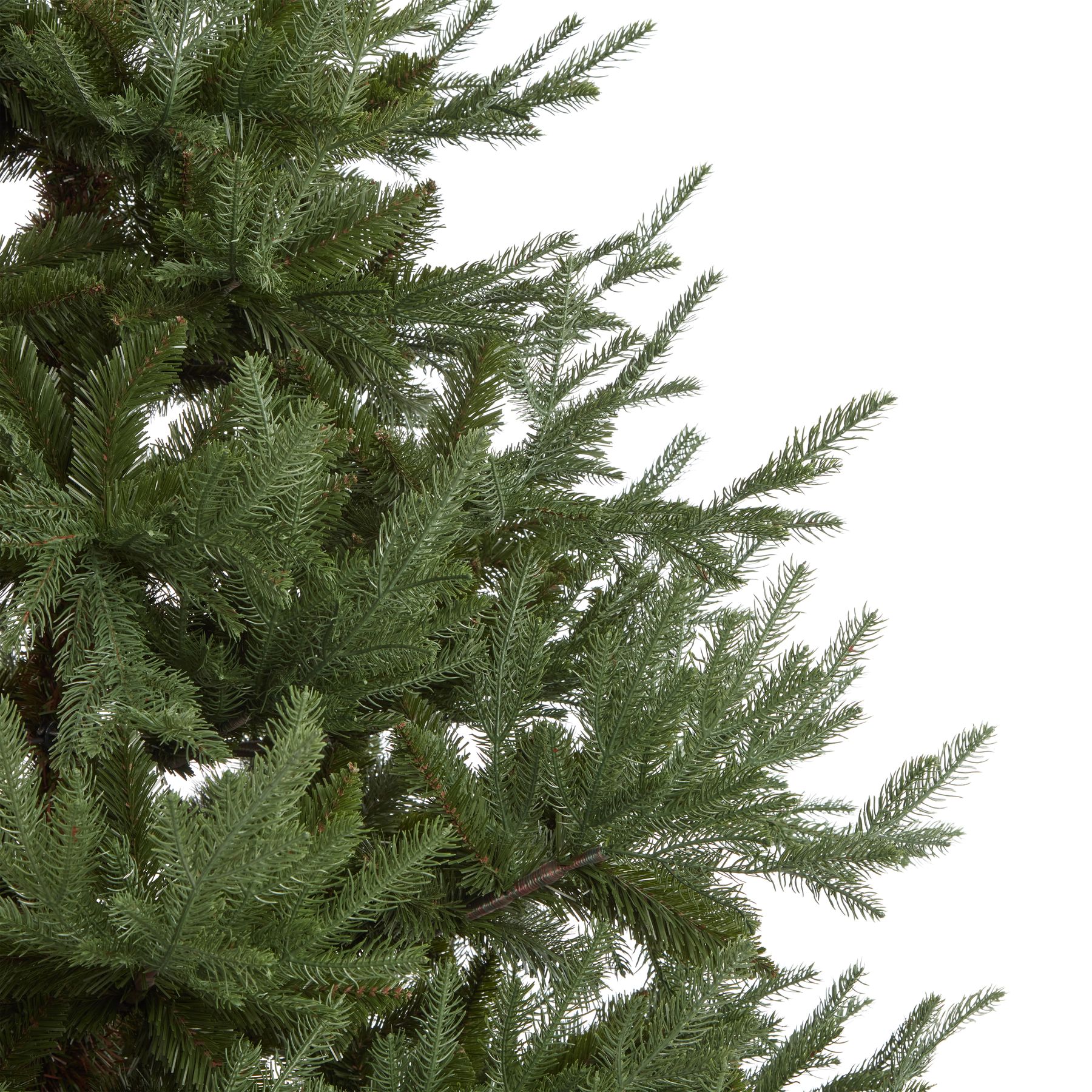Large Pine Tree - Image 5