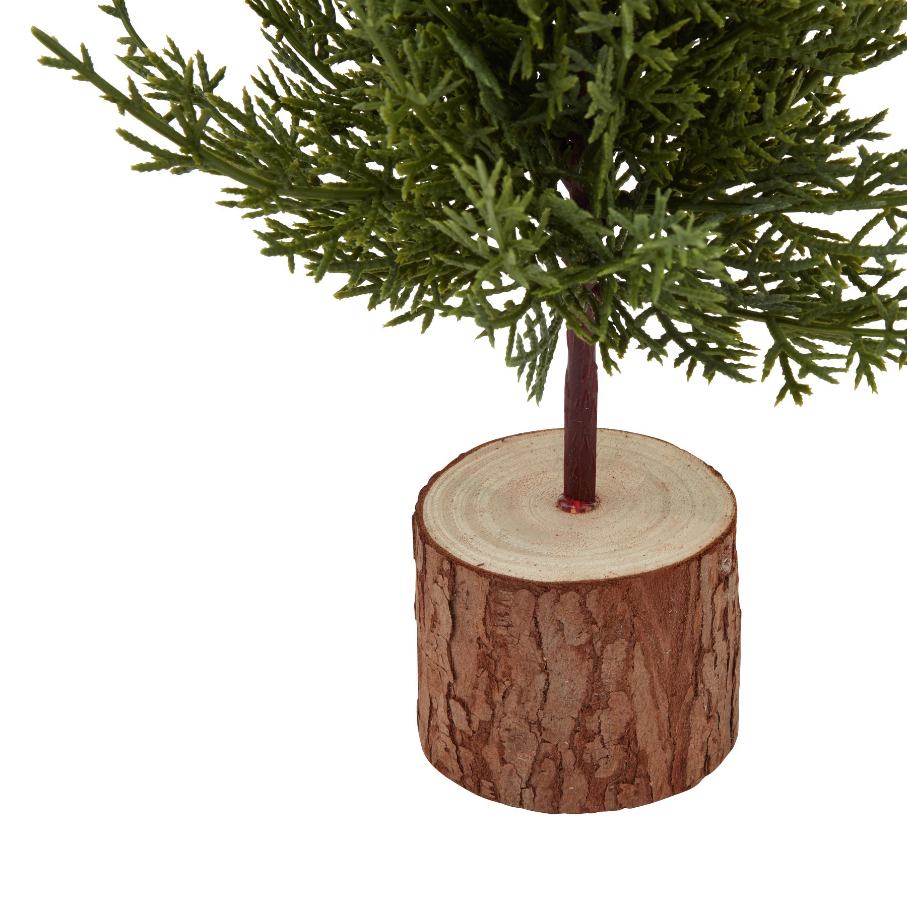 Small Gree Fir Tree In Wood Log - Image 3