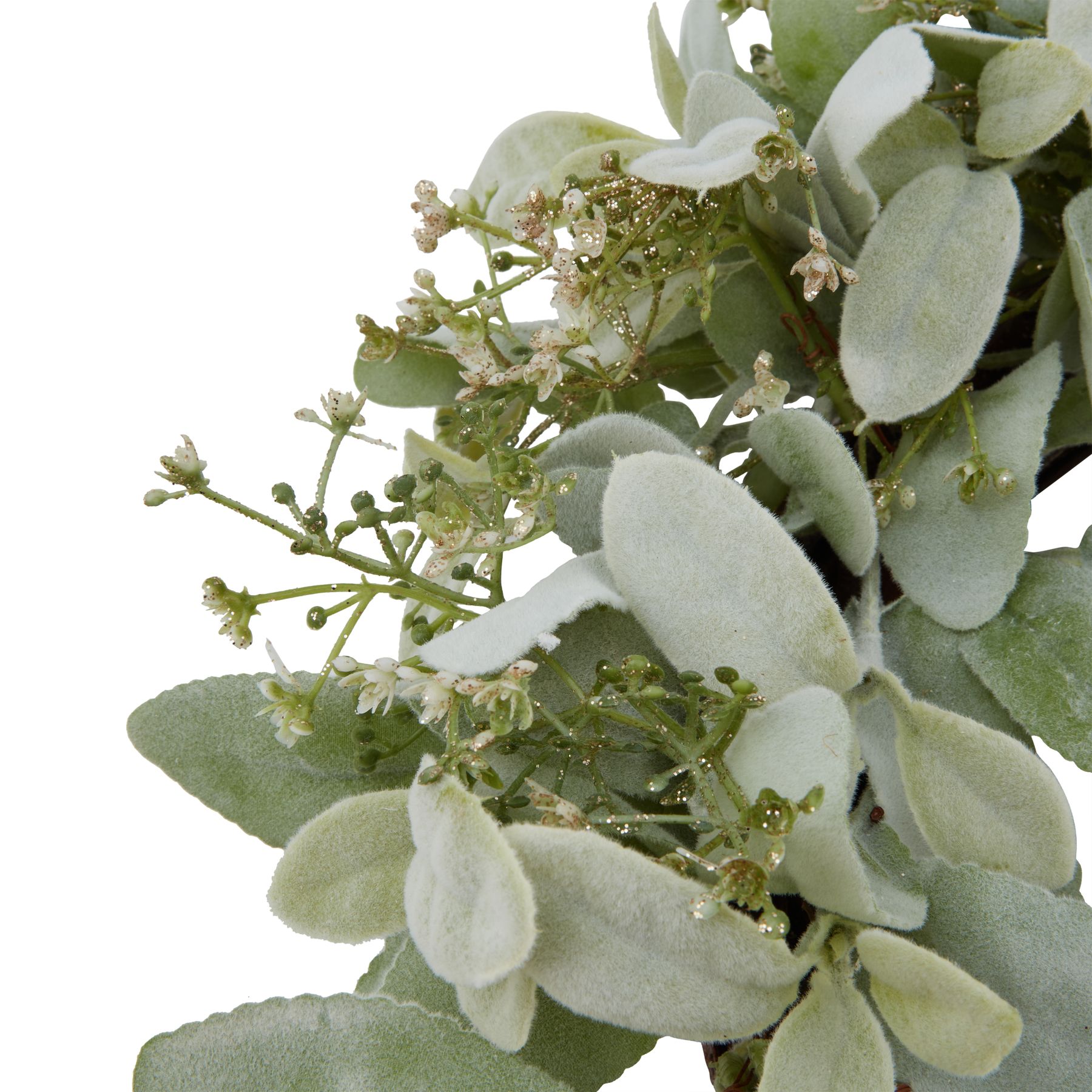 Winter Wreath With Lambs Ear And Wax Flower - Image 2