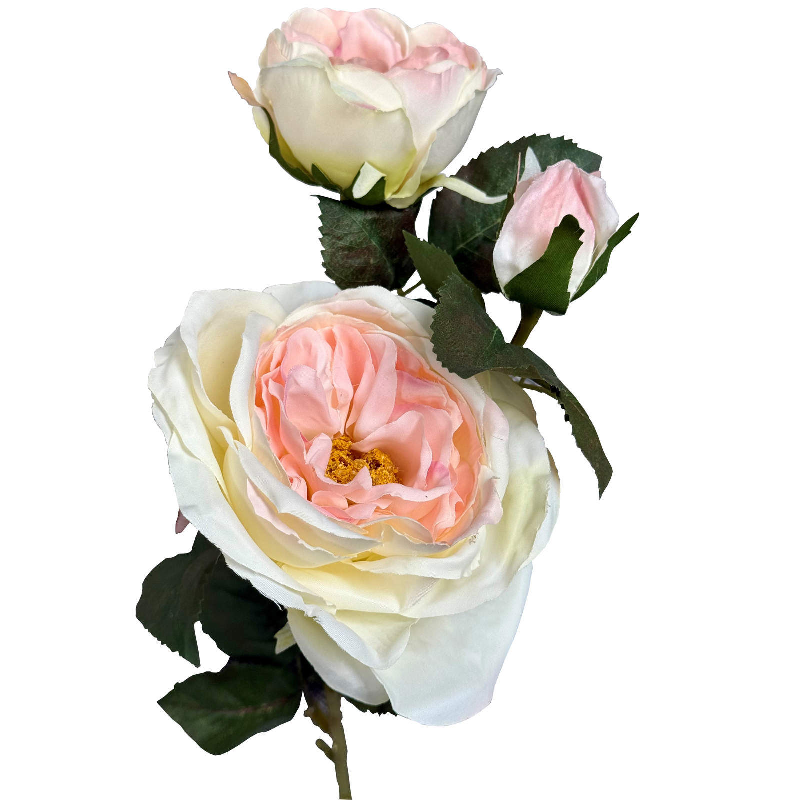 The Natural Garden Collection Pink Charity Rose - Image 1