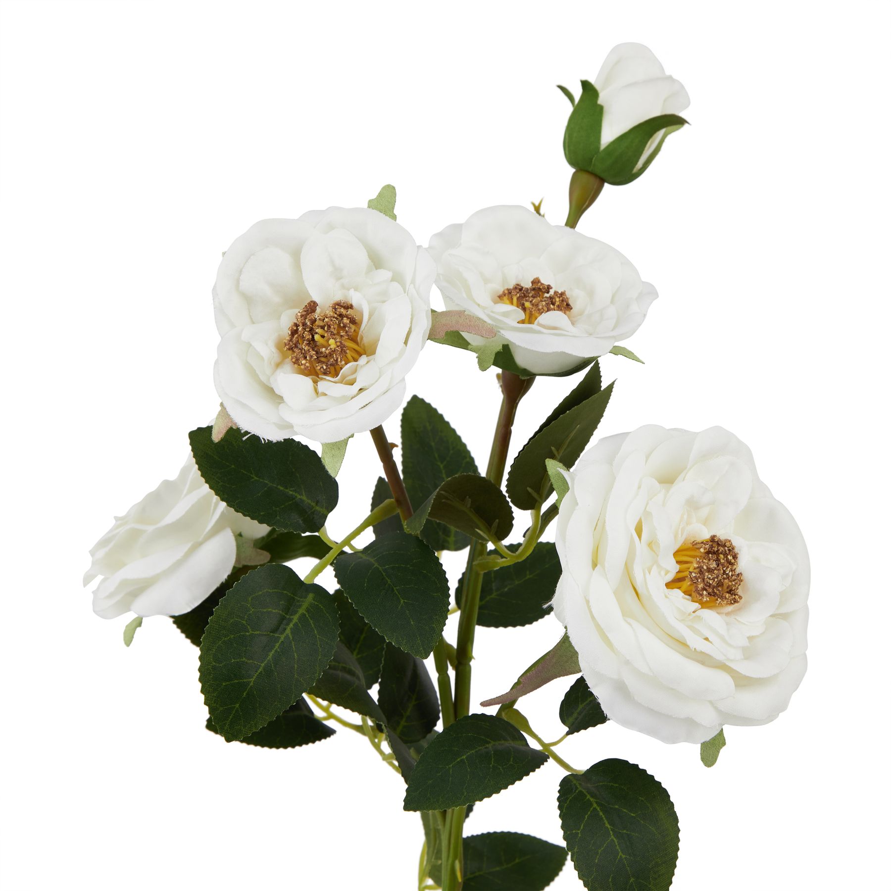 The Natural Garden Collection White Hedge Rose Stem - Image 2