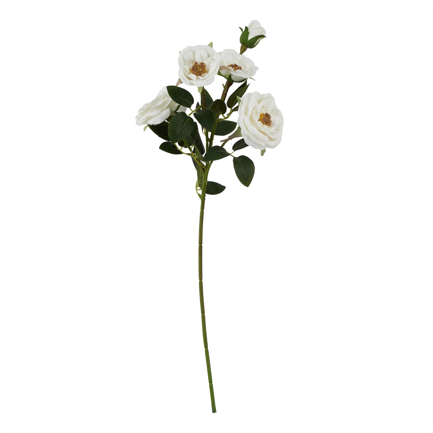 The Natural Garden Collection White Hedge Rose Stem - Image 1