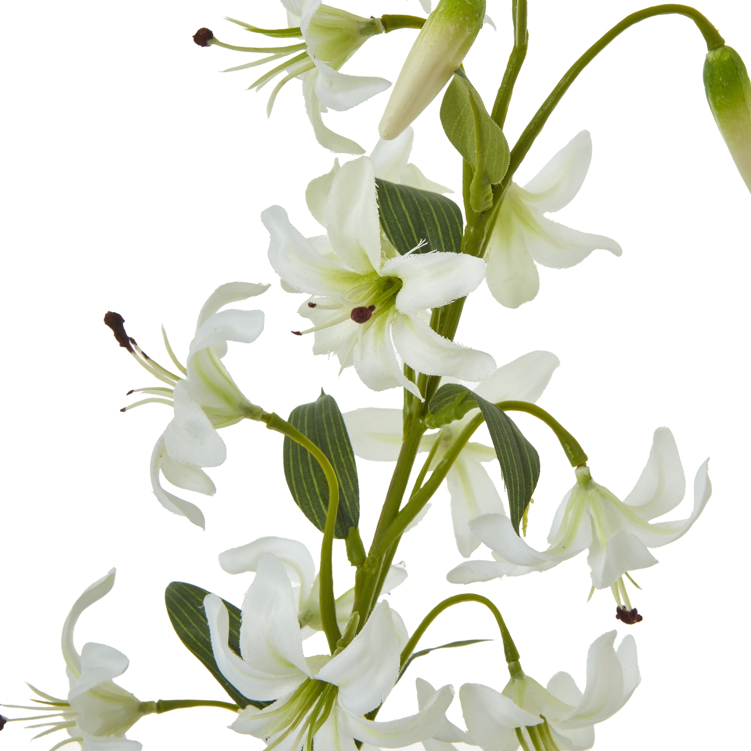 Turks Cap Green Lily Spray - Image 2