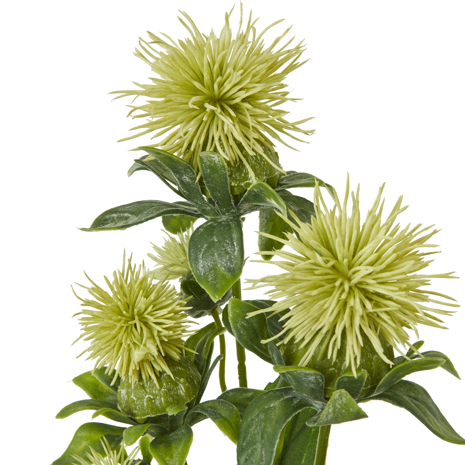 Green Safflower Spray - Image 2
