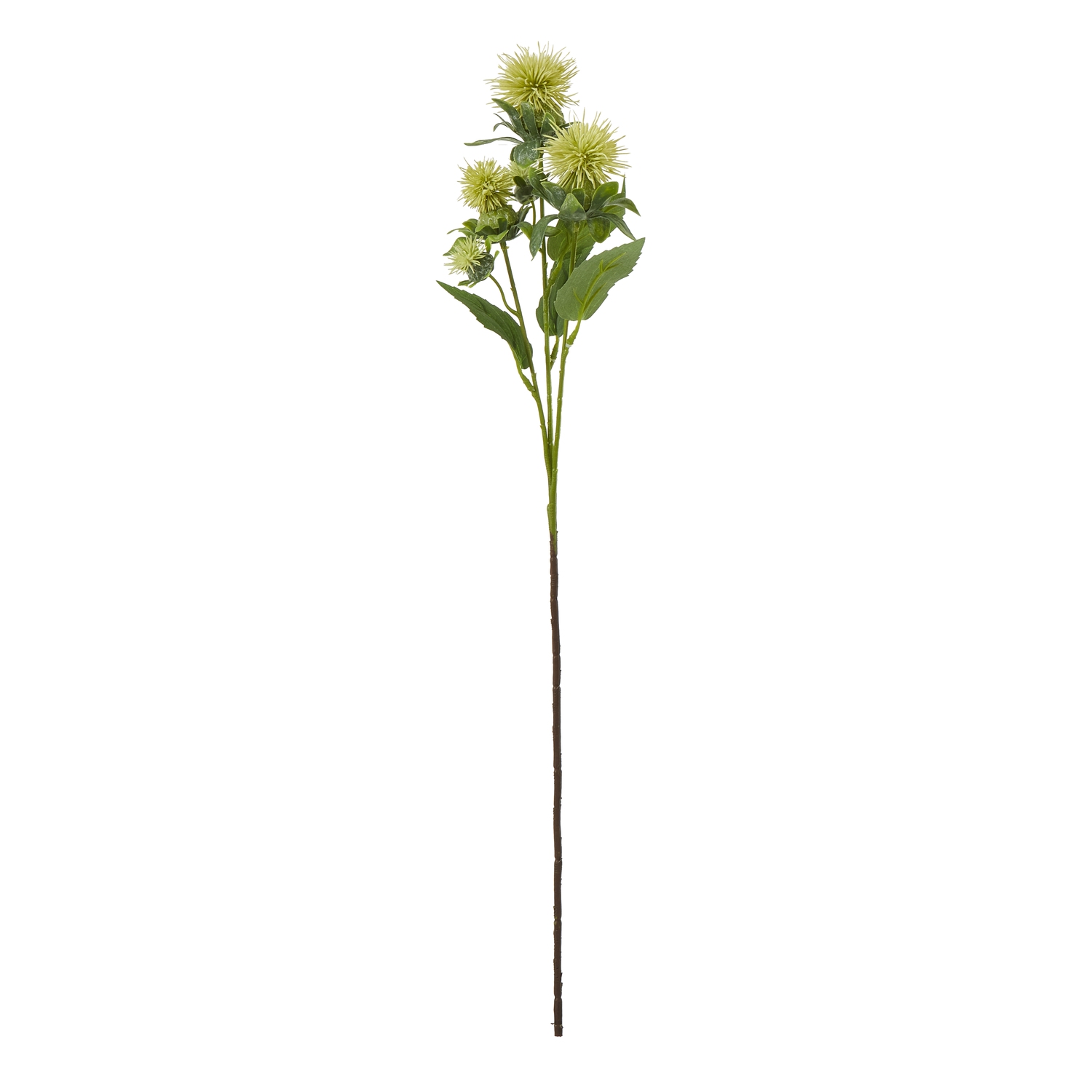 Green Safflower Spray - Image 1