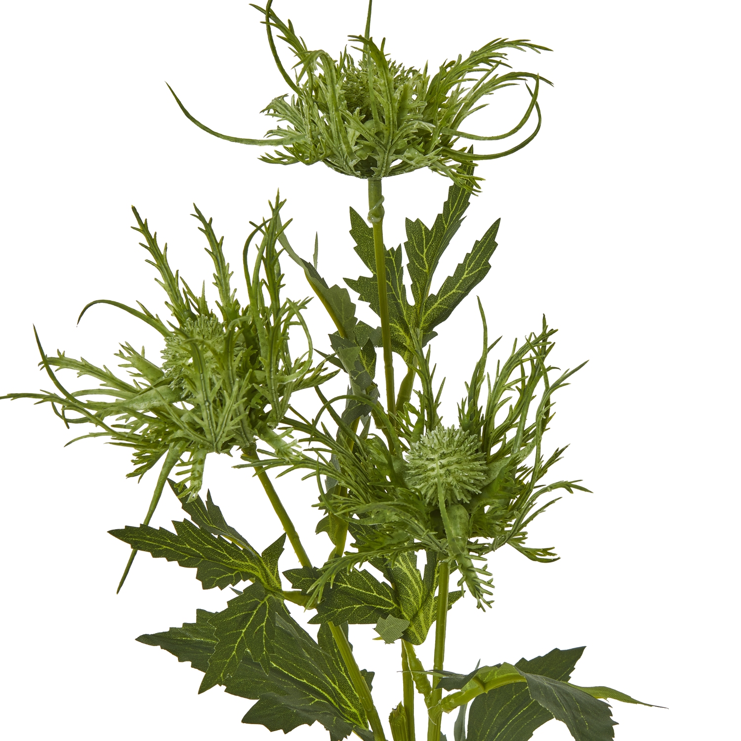 Green Sea Holly Spray - Image 2