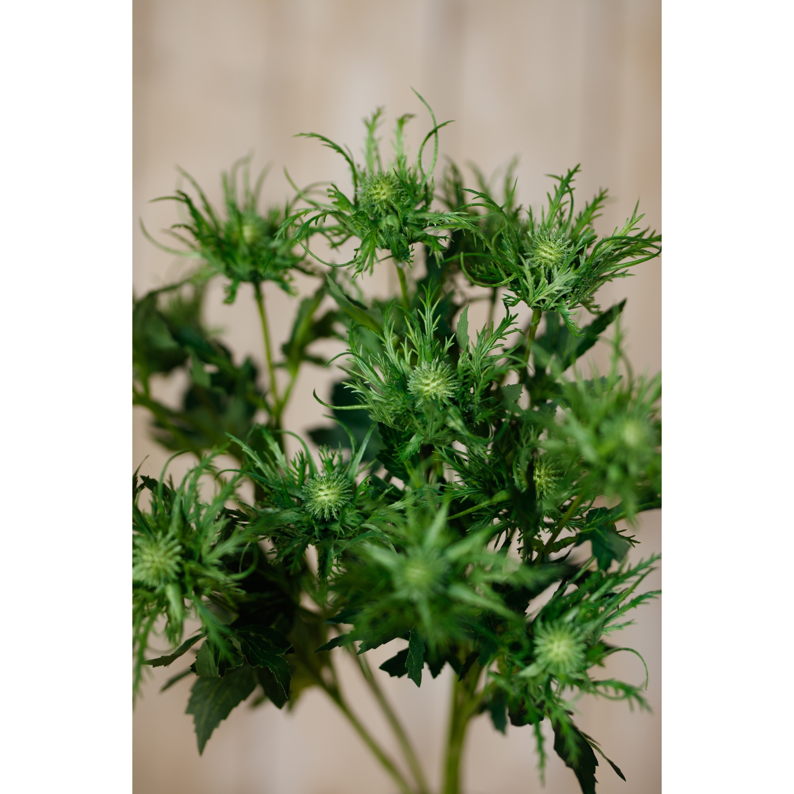 Green Sea Holly Spray - Image 5