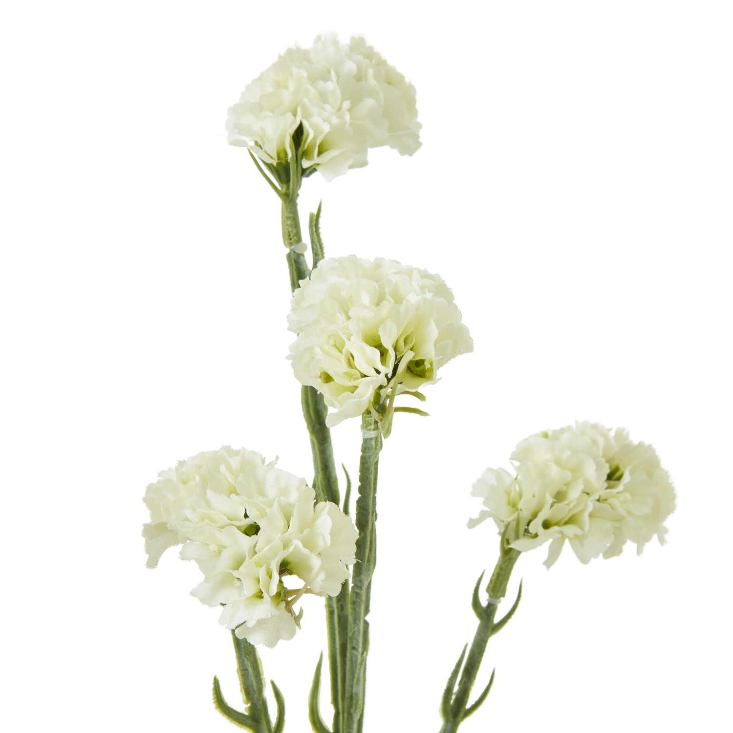 Cream Statice Spray - Image 2