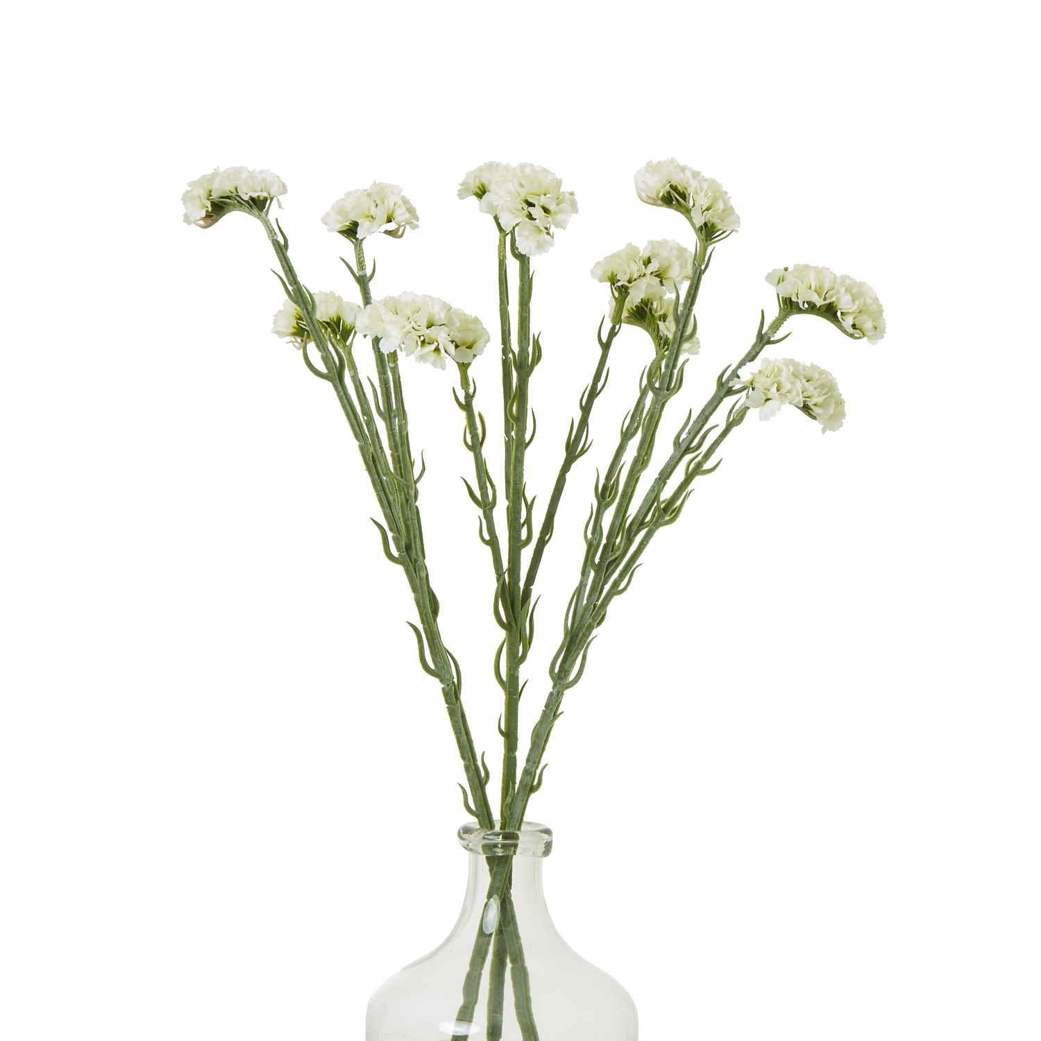 Cream Statice Spray - Image 3