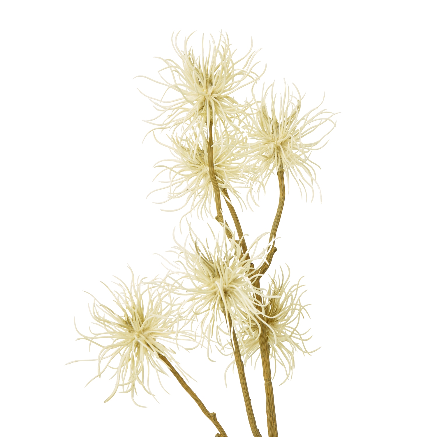 Cream Xanthium Spray - Image 2