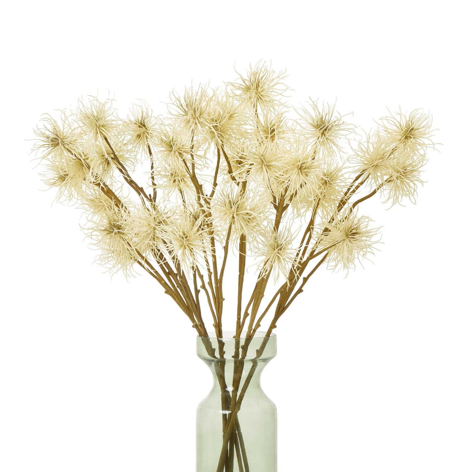 Cream Xanthium Spray - Image 3