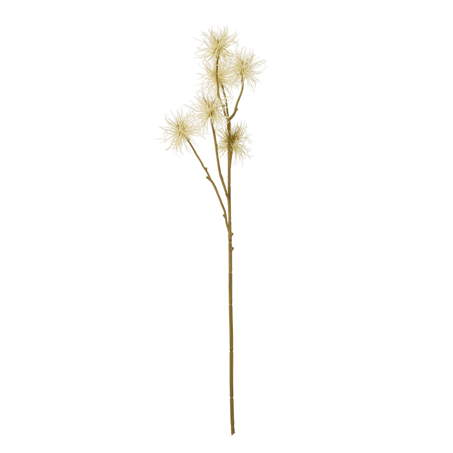 Cream Xanthium Spray - Image 1
