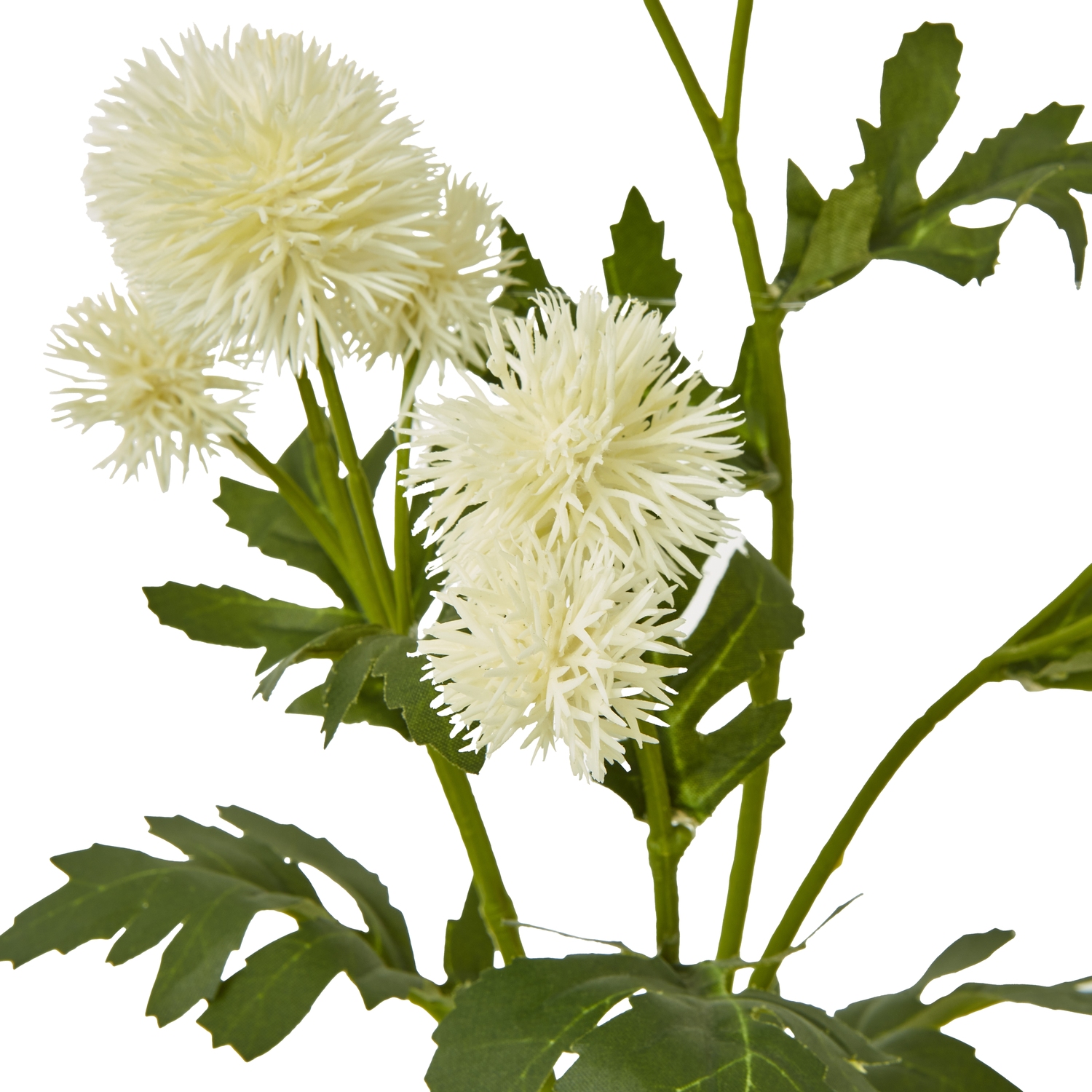 Cream Globe Thistle Spray - Image 2