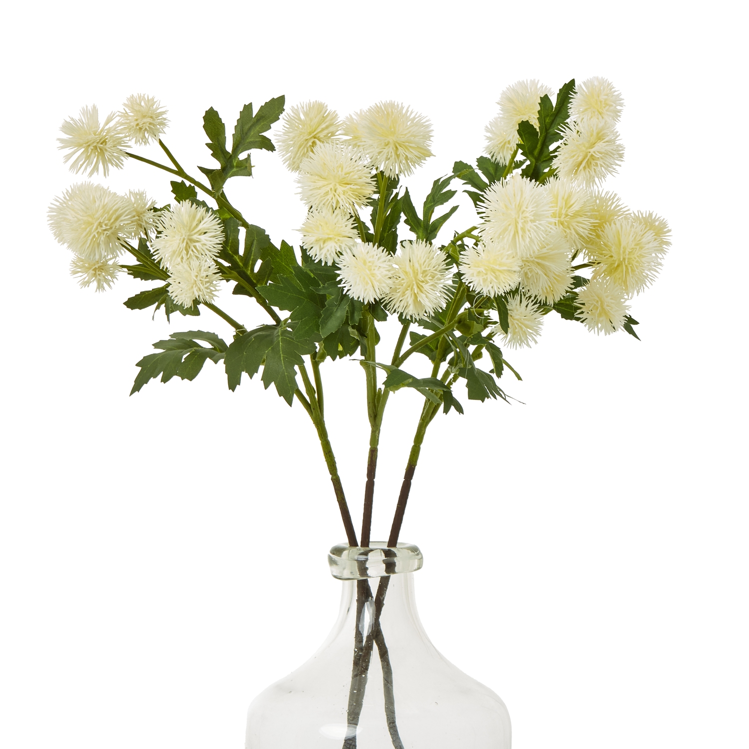 Cream Globe Thistle Spray - Image 3
