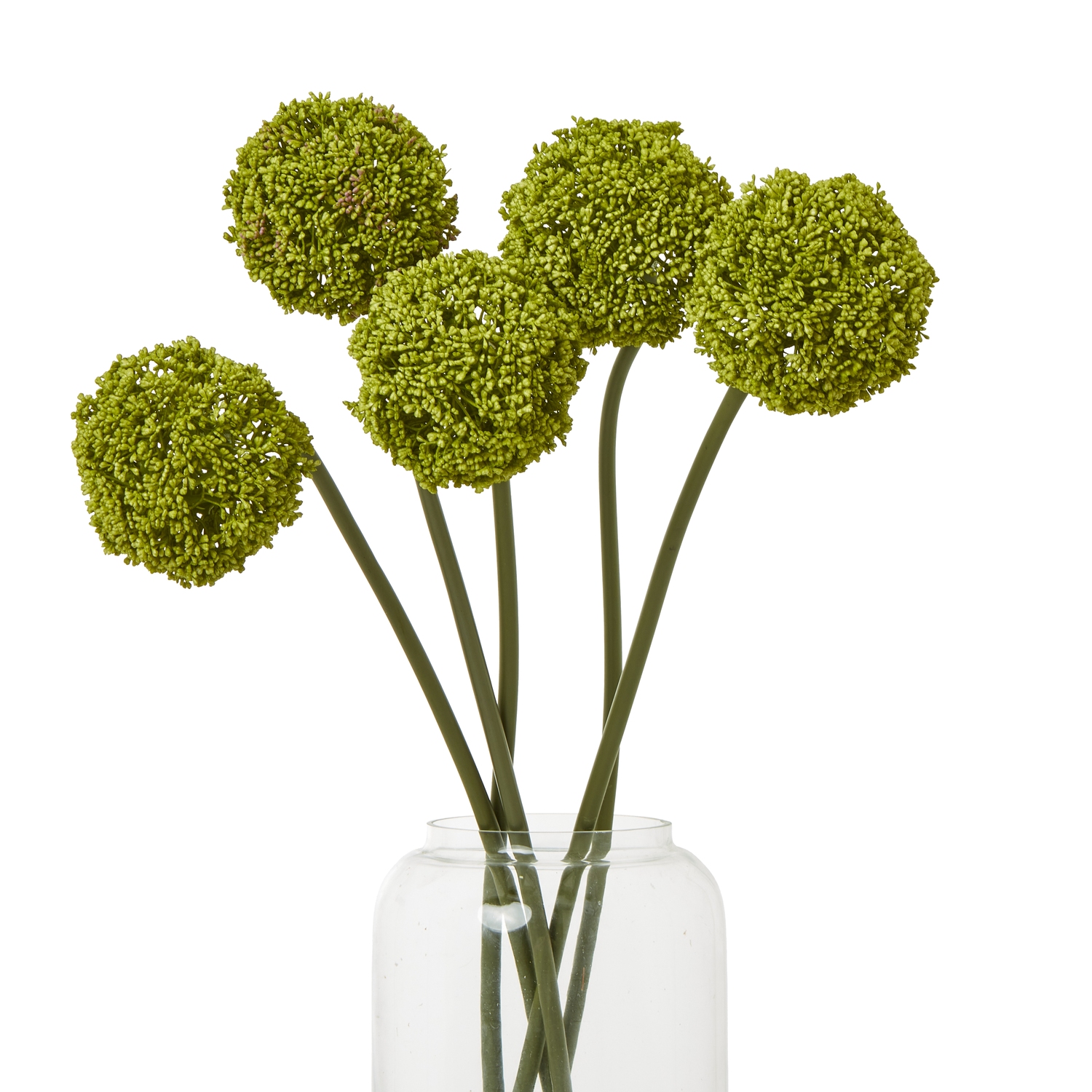 Green Allium Stem - Image 3