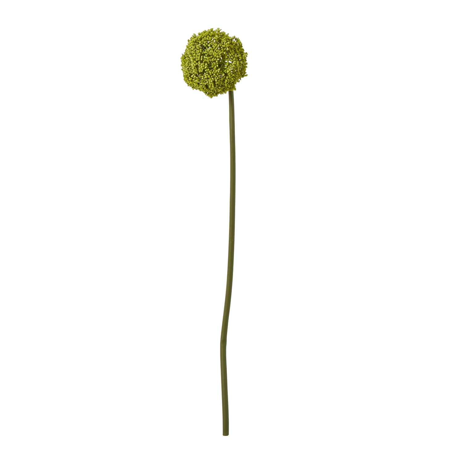 Green Allium Stem - Image 1