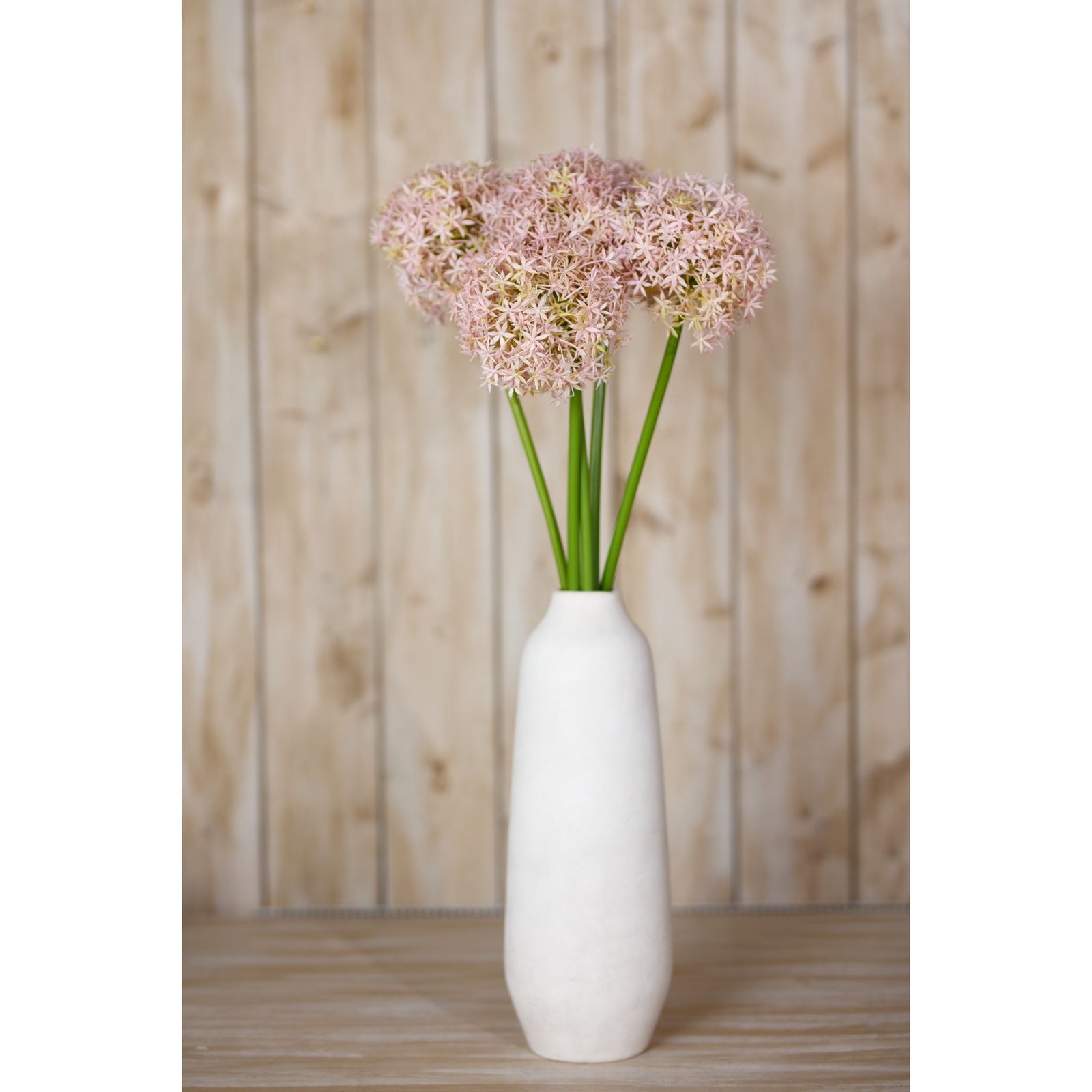 Lilac Giant Allium Stem - Image 4