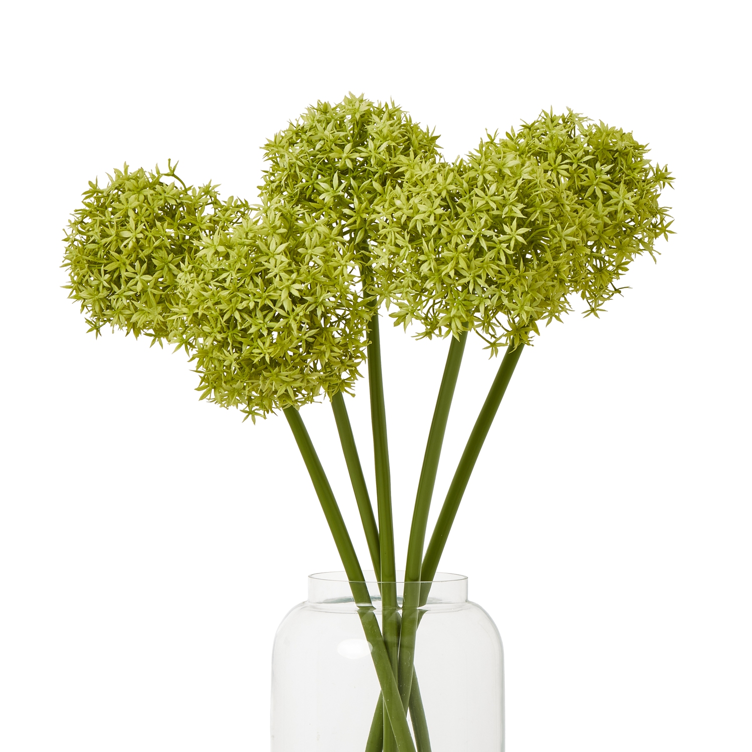 Green Medium Allium Stem - Image 3