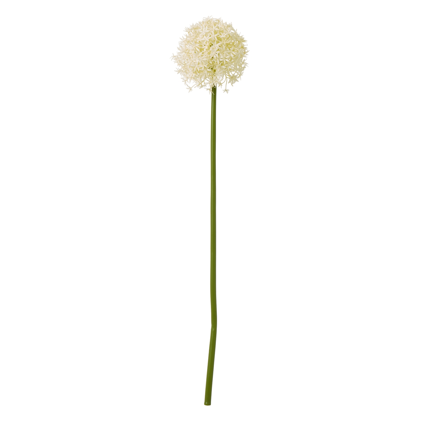 Cream Medium Allium Stem - Image 1