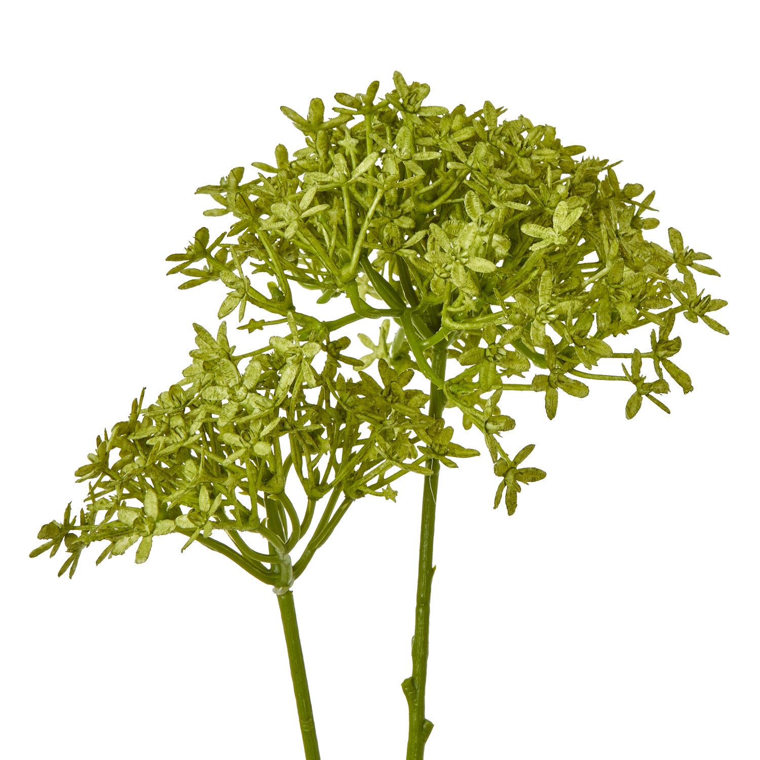 Green Crown Hydrangea Stem - Image 2
