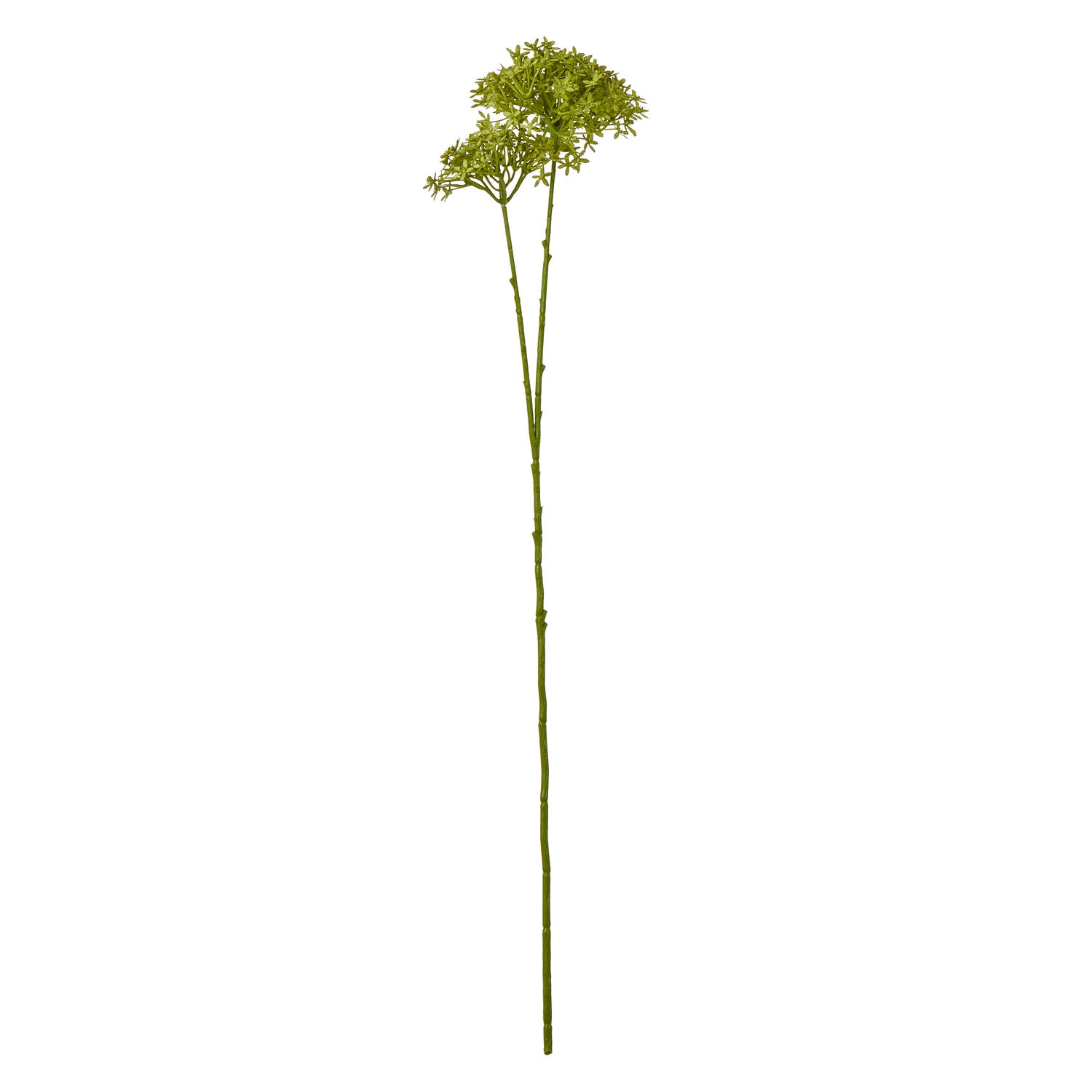 Green Crown Hydrangea Stem - Image 1