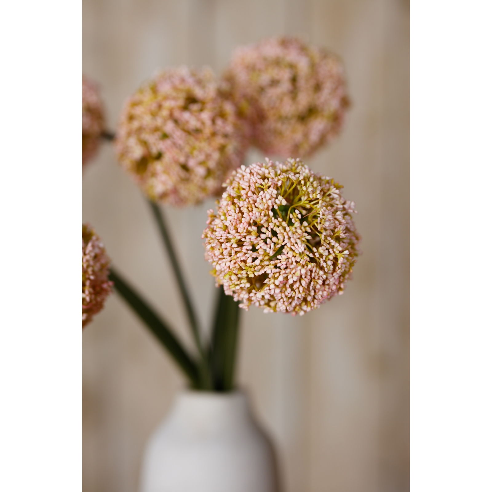Pink Allium Stem - Image 5