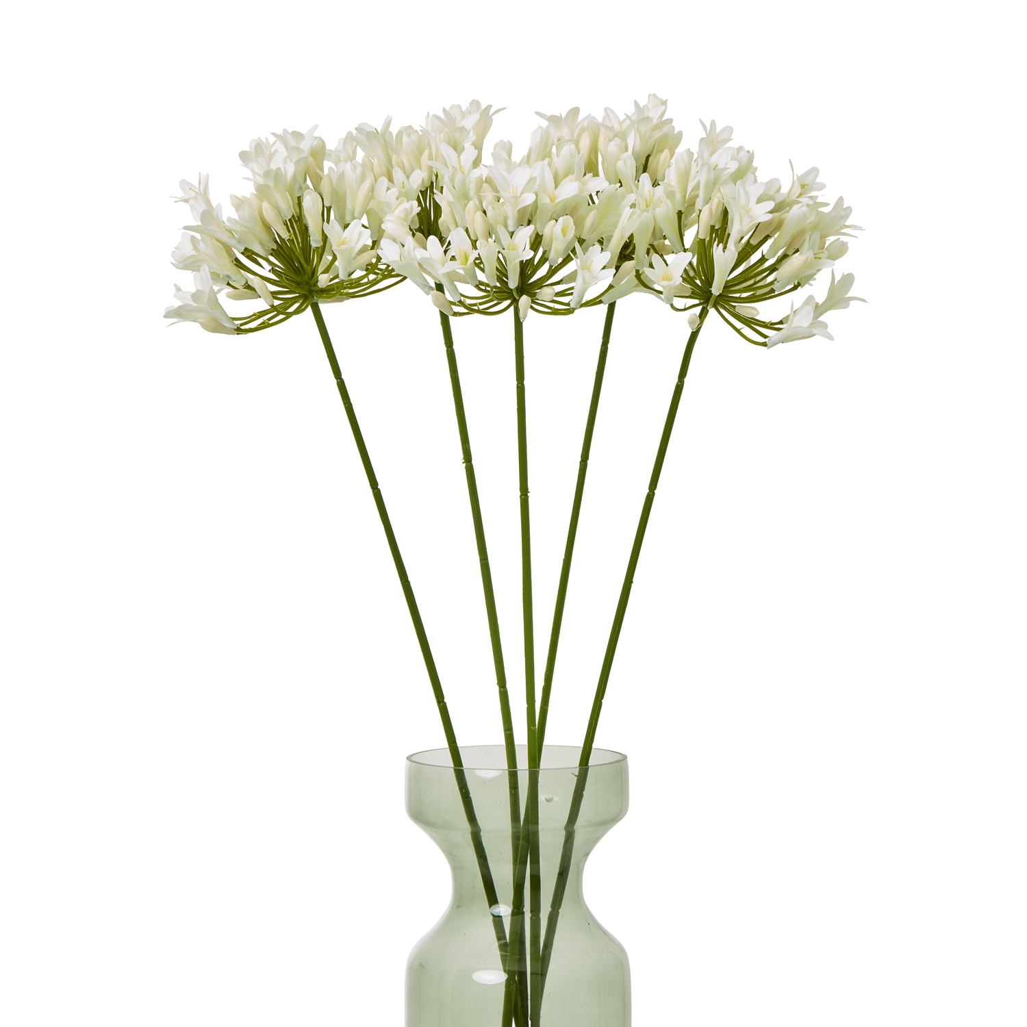 Cream Agapanthus Spray - Image 3