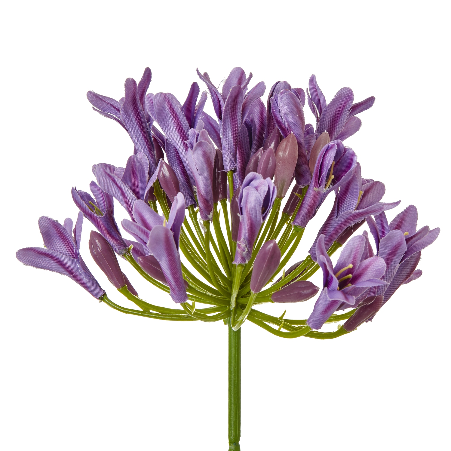 Lilac Agapanthus Spray - Image 2