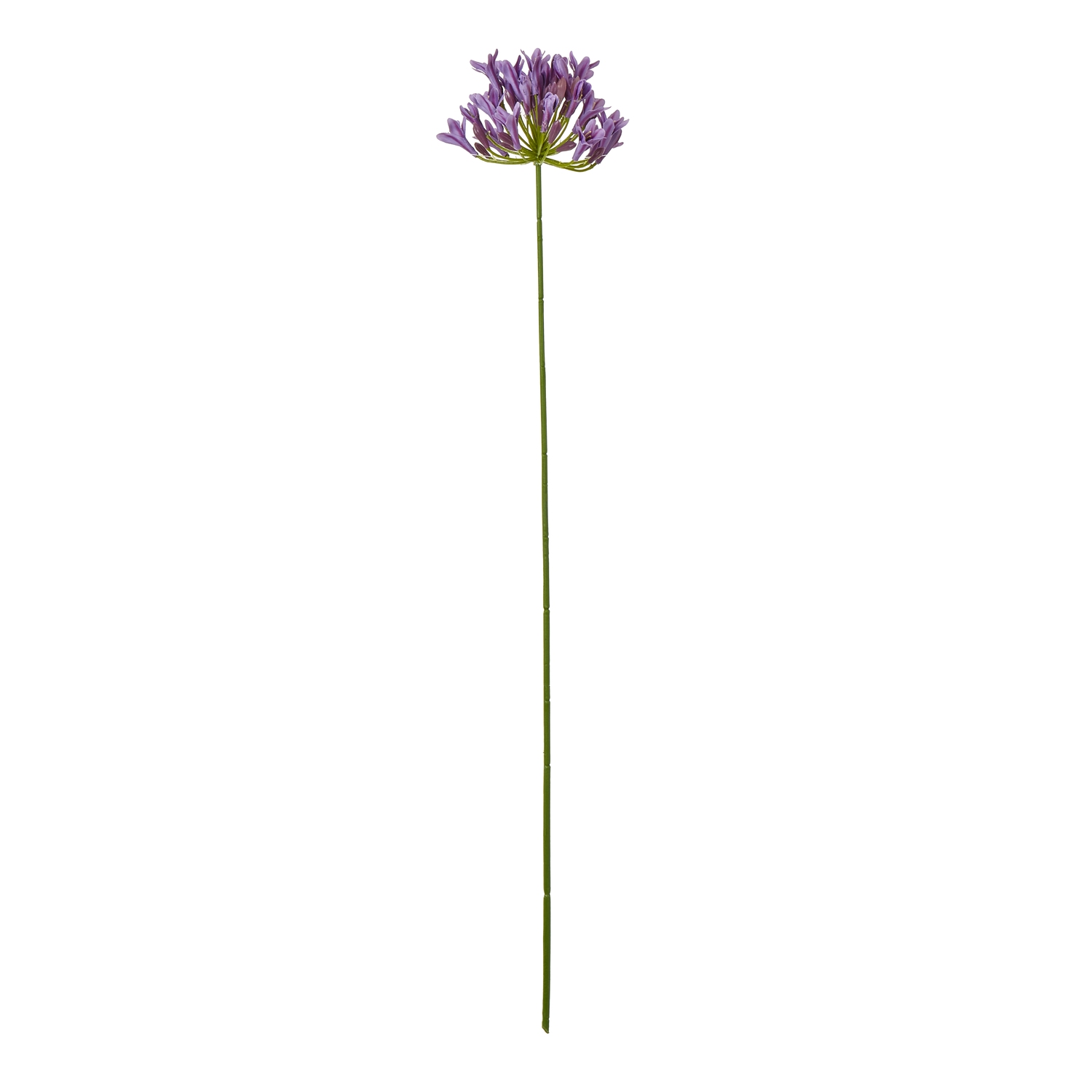 Lilac Agapanthus Spray - Image 1