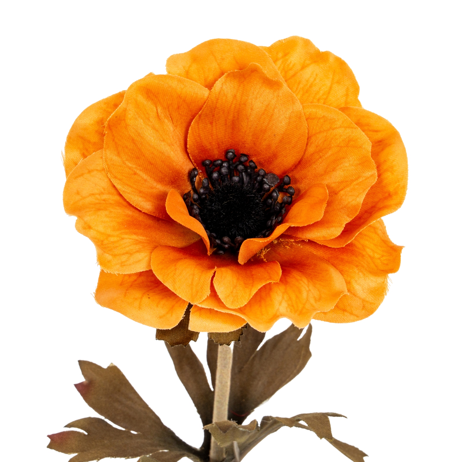 Orange Anemone Stem - Image 1