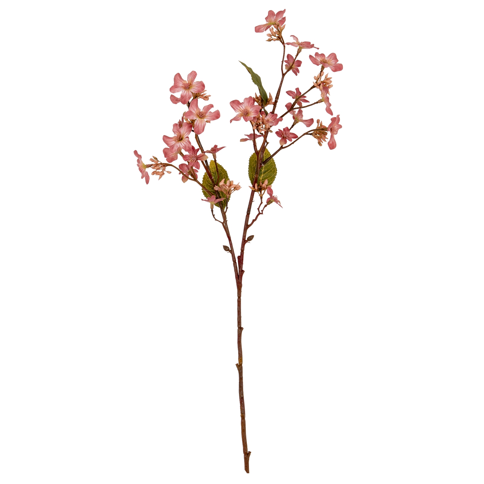 Pink Vernicia Fordii Spray - Image 2