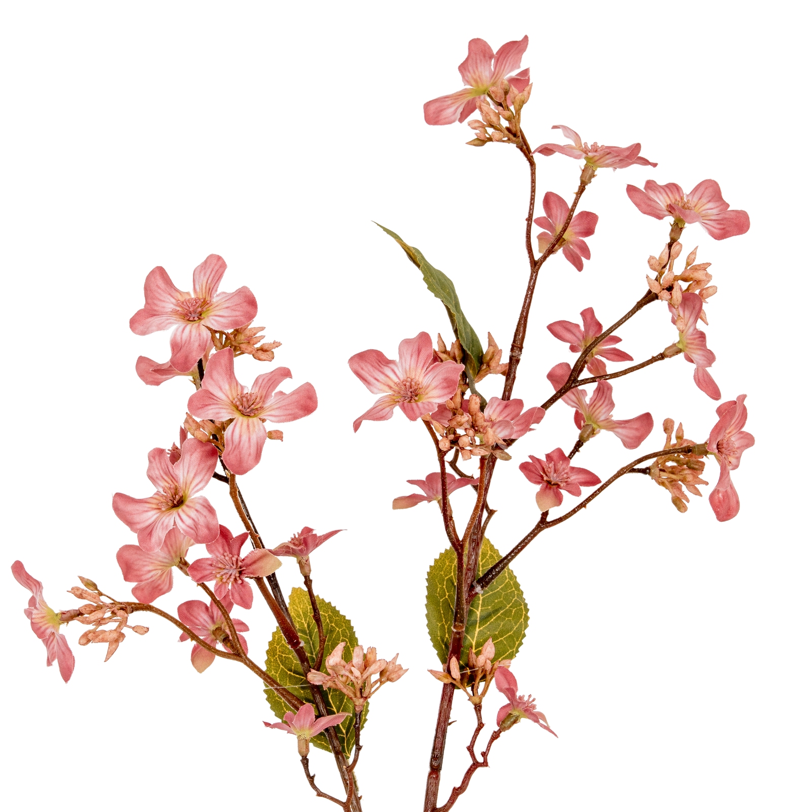 Pink Vernicia Fordii Spray - Image 1
