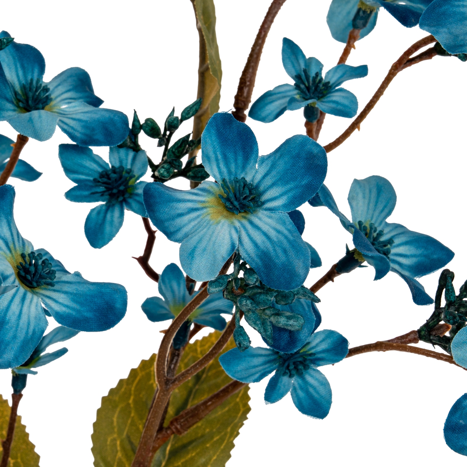 Blue Vernicia Fordii Spray - Image 3