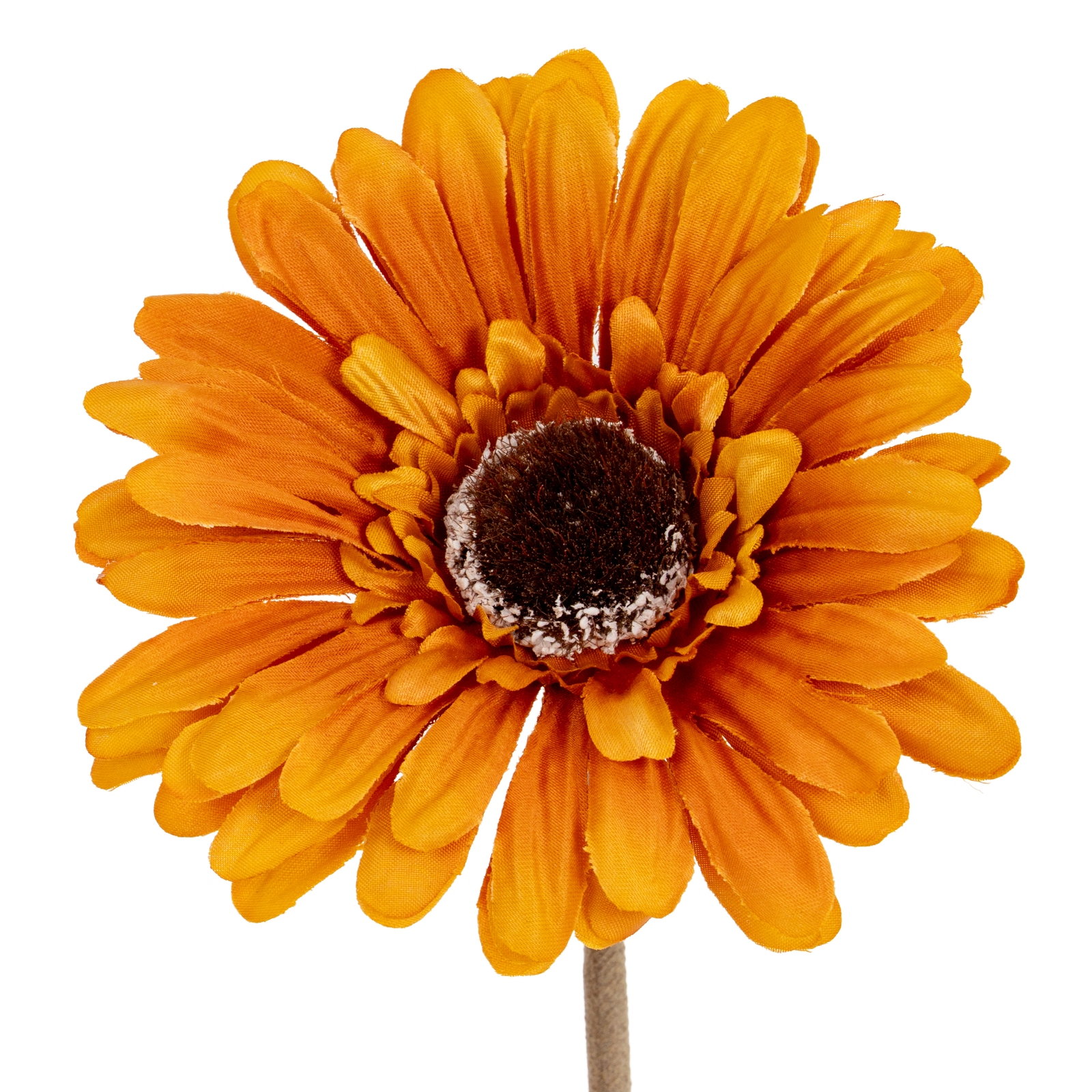 Soft Yellow Gerbera Stem - Image 1