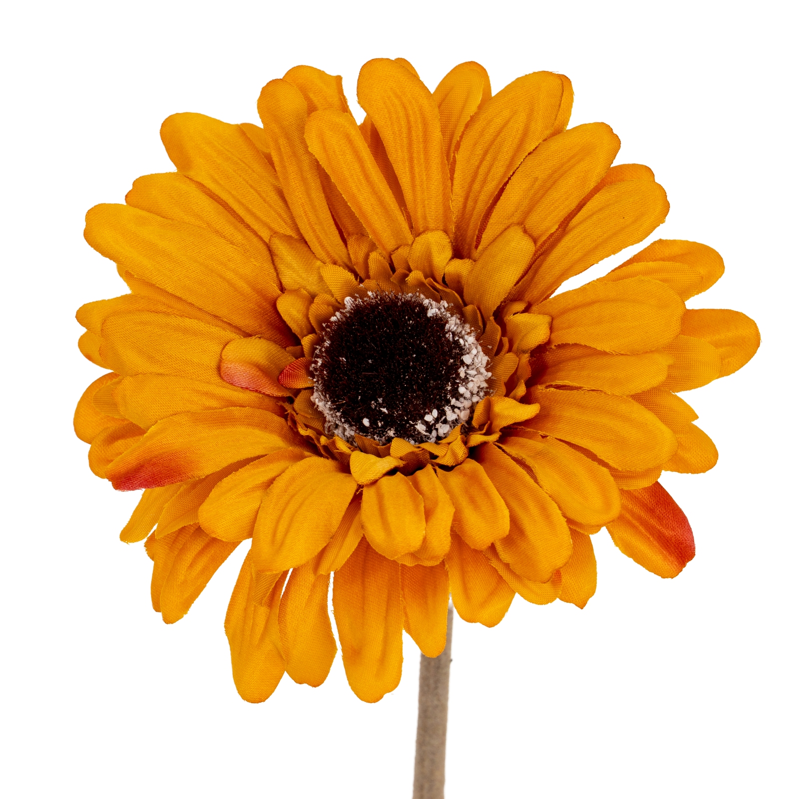 Orange Gerbera Stem - Image 1