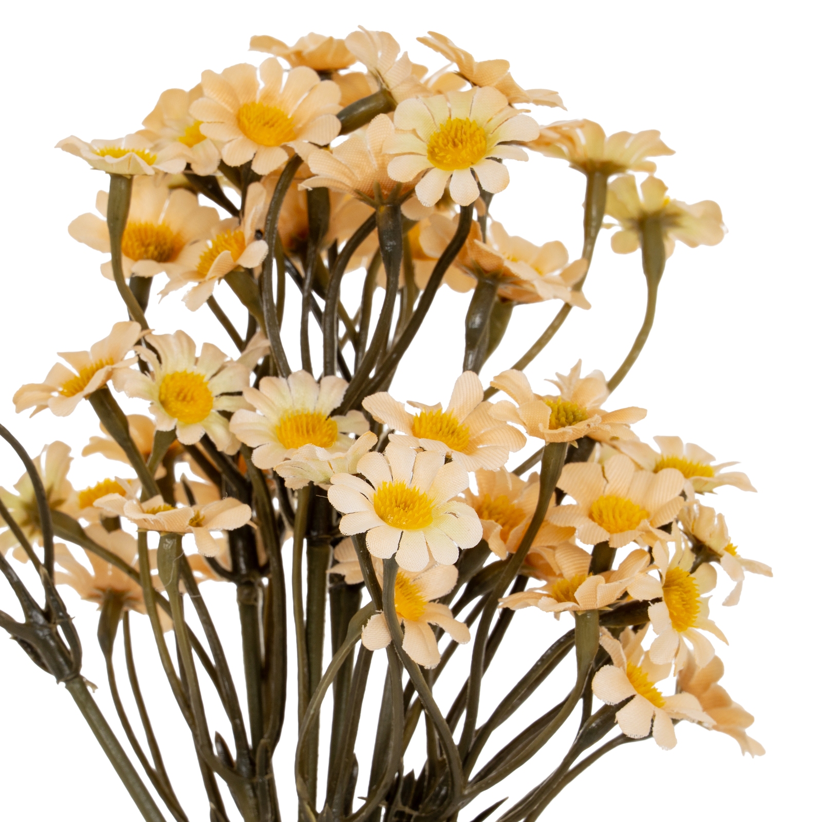 Cream Daisy Bunch - Image 1