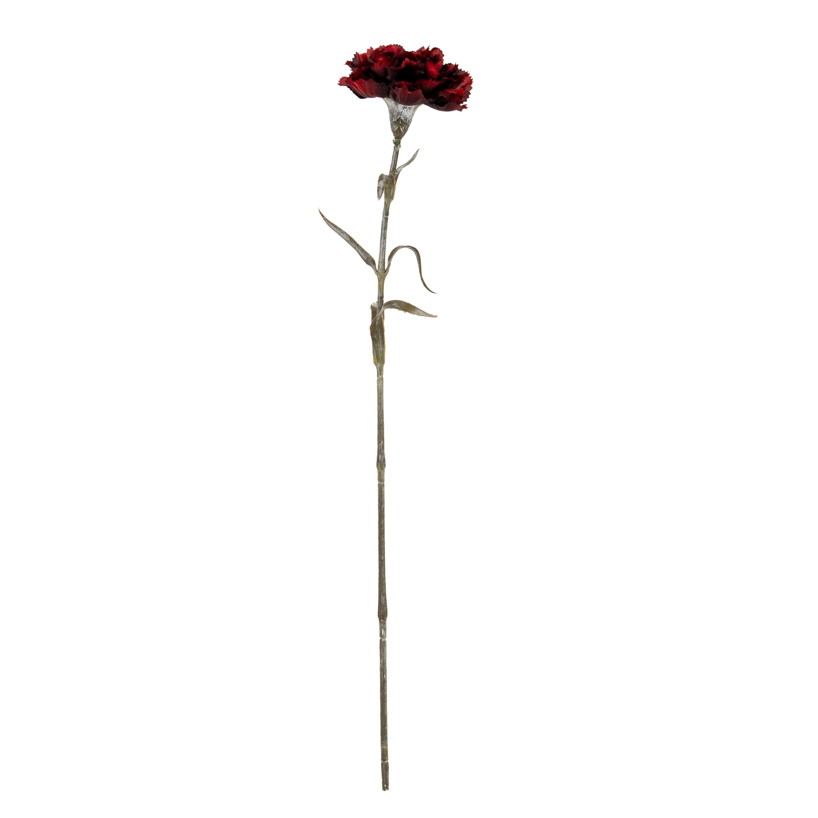Burgundy Carnation Stem - Image 2