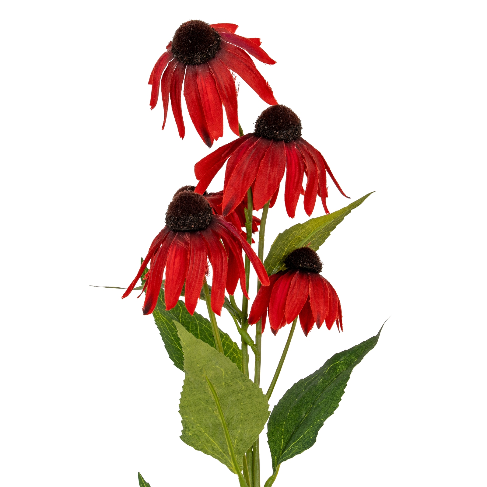 Red Echinacea Spray - Image 1