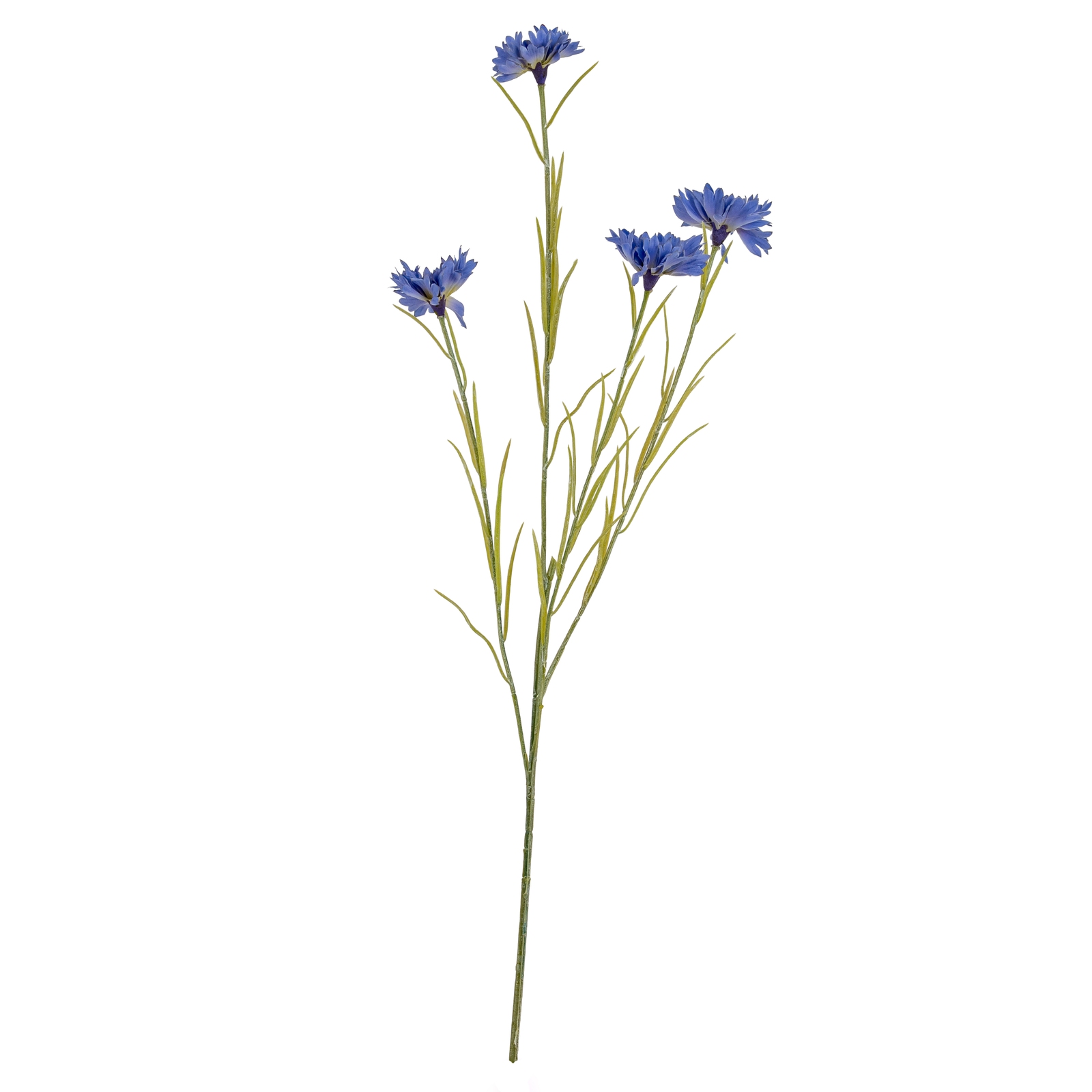 Blue Cornflower Stem - Image 2