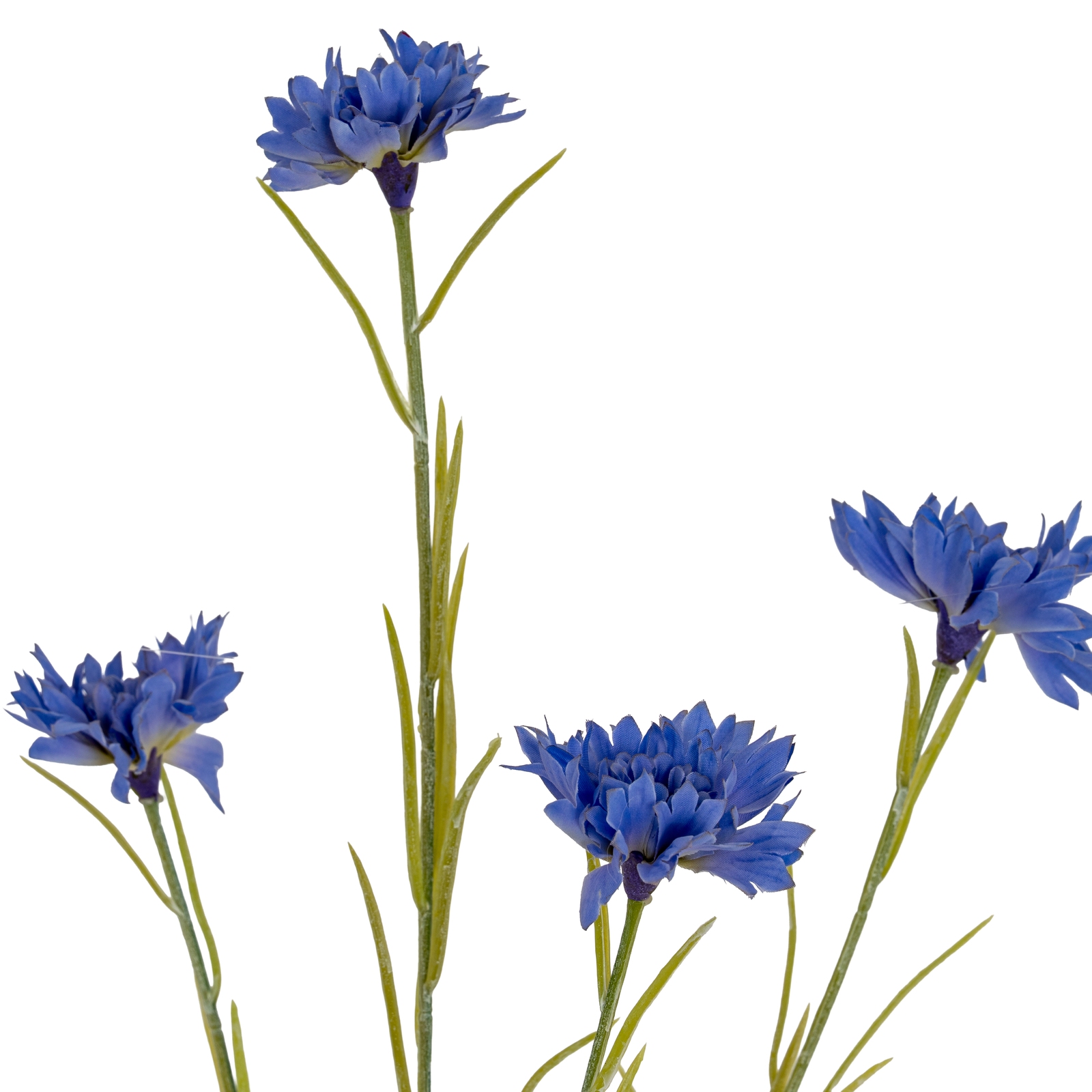 Blue Cornflower Stem - Image 3