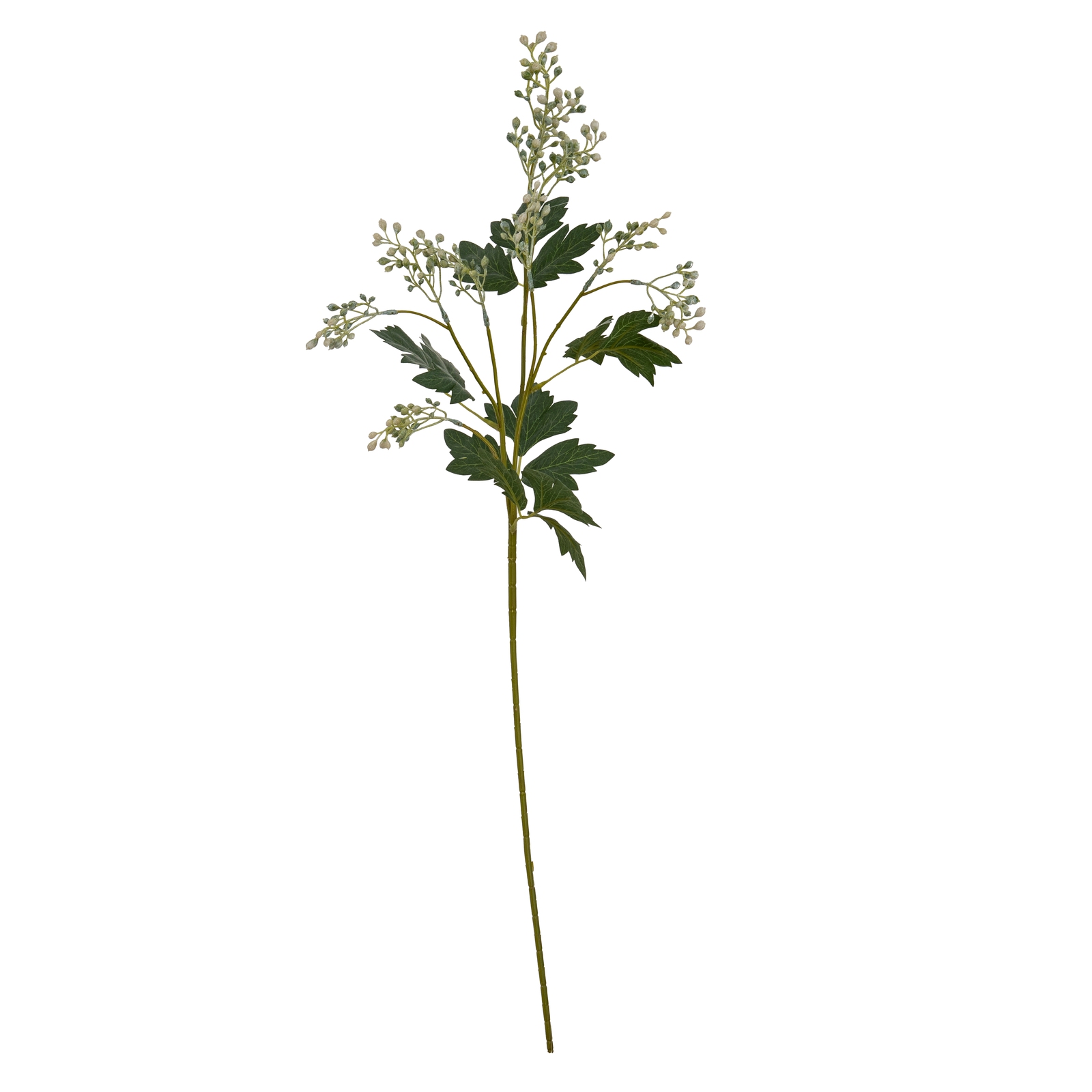 Milk Thistle Bud Spray - Image 2