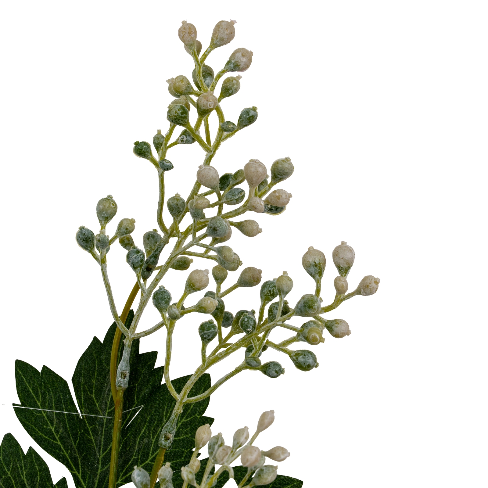 Milk Thistle Bud Spray - Image 3