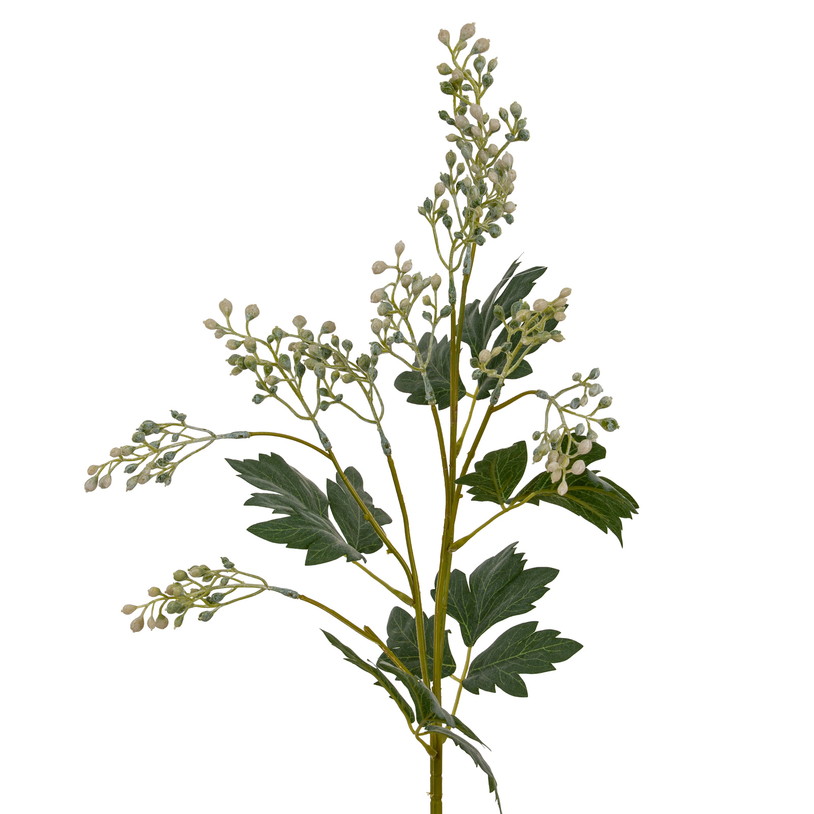 Milk Thistle Bud Spray - Image 4