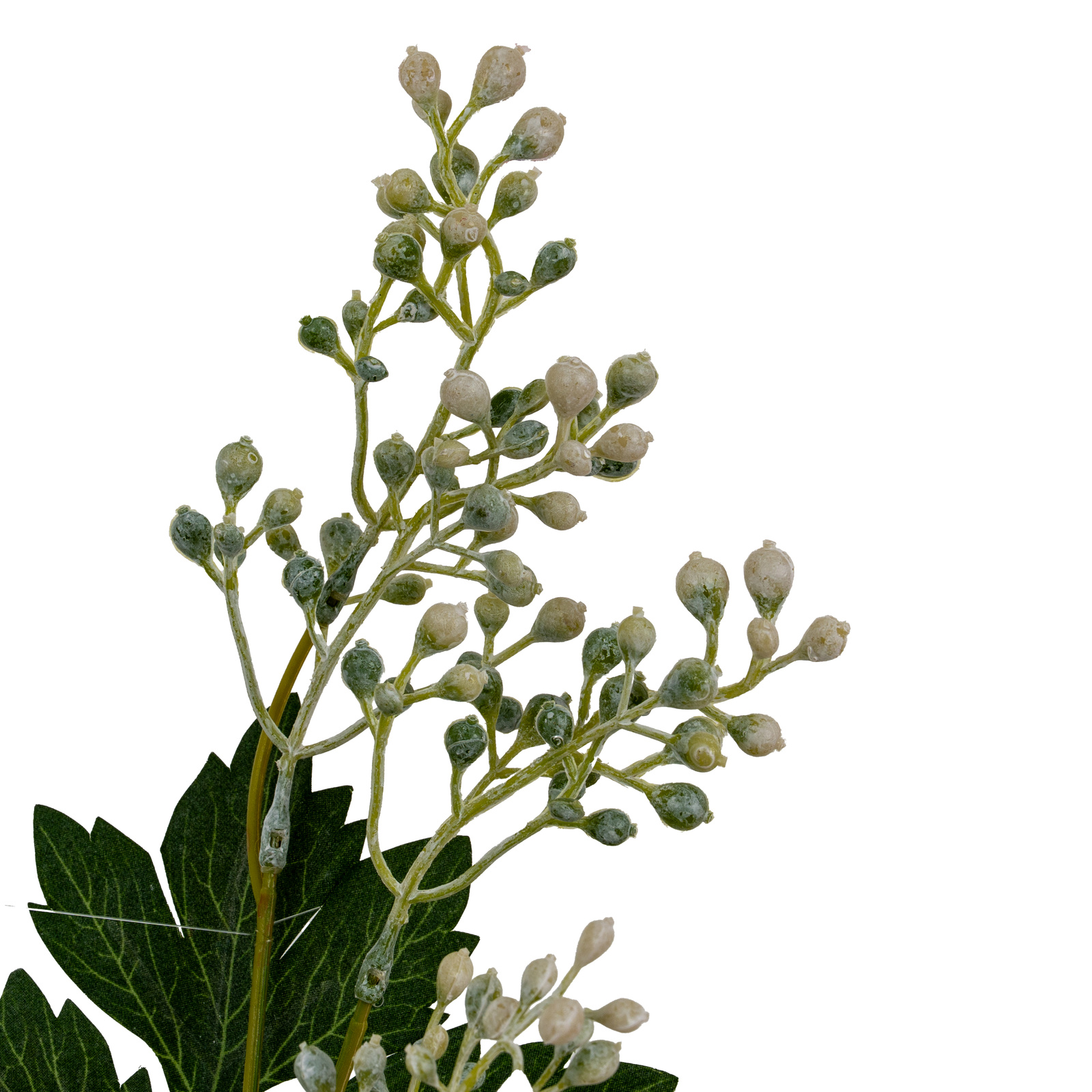 Milk Thistle Bud Spray - Image 6