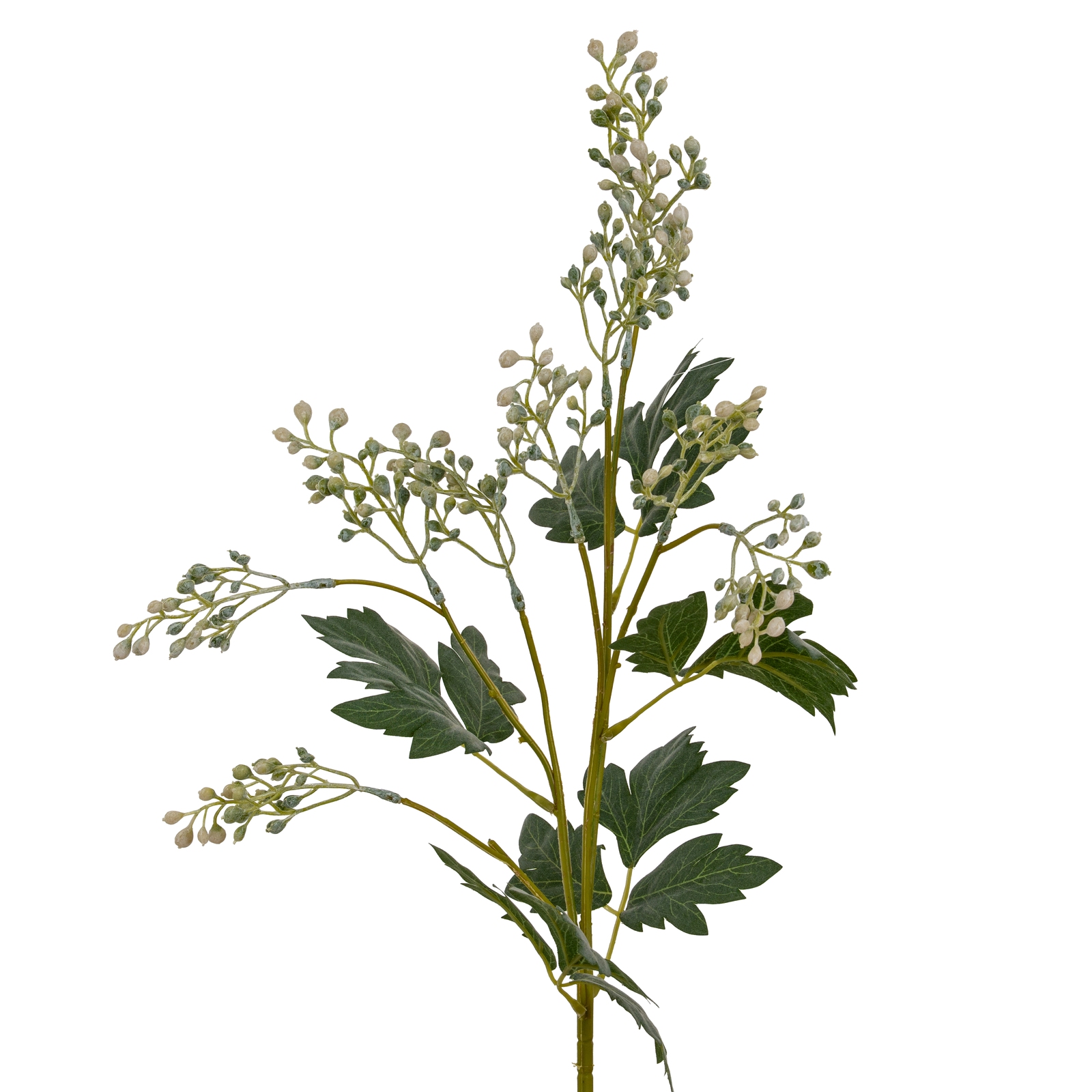 Milk Thistle Bud Spray - Image 1