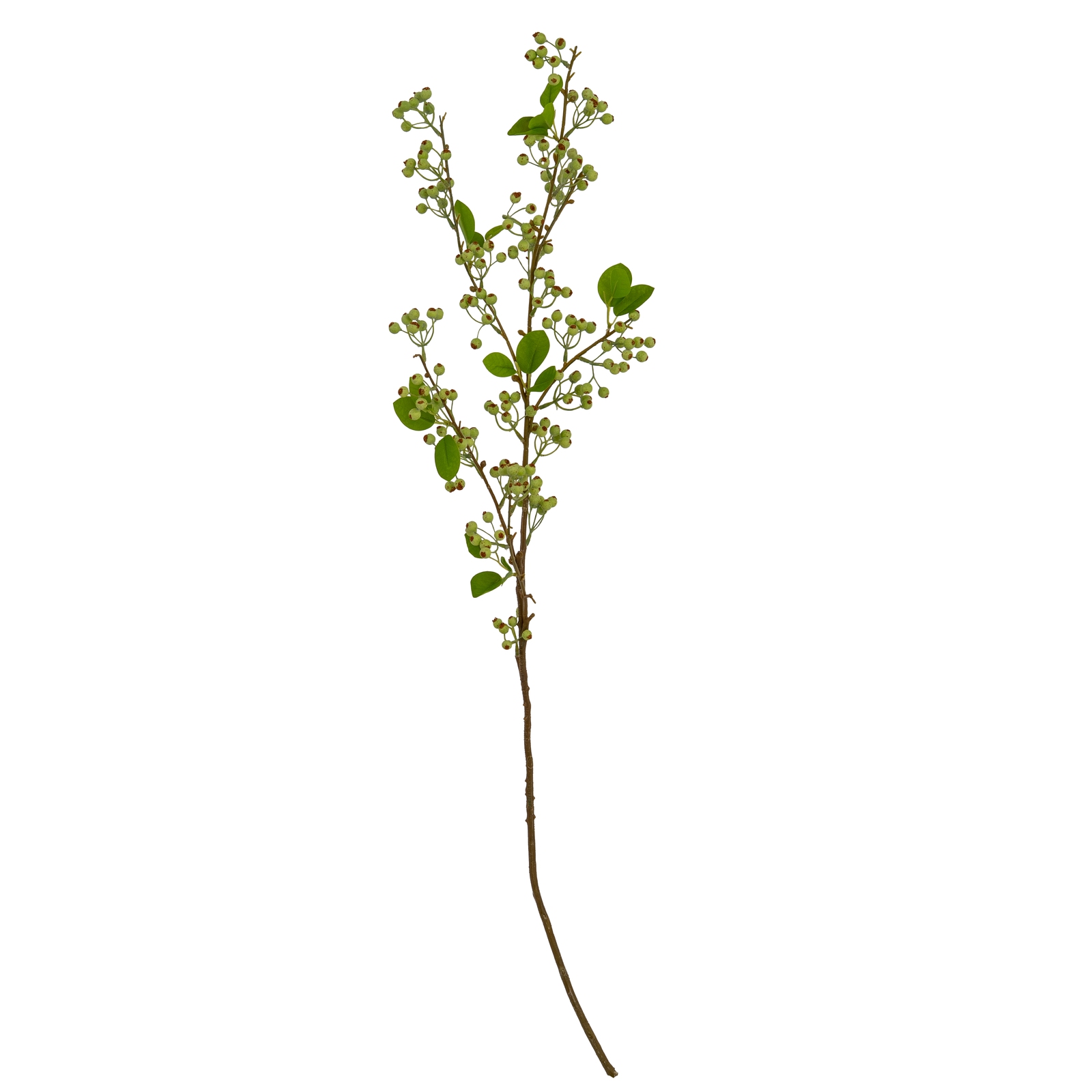 Green Mossberry Large Branch - Image 2