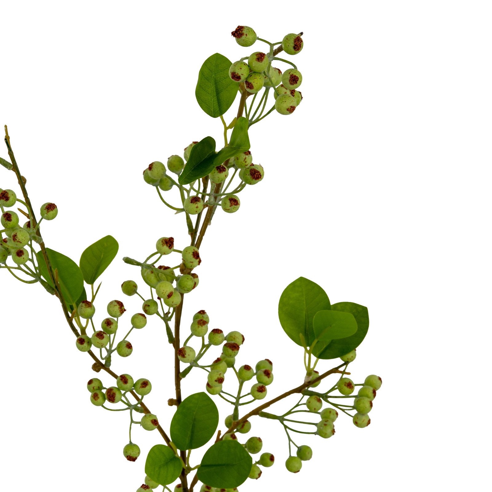 Green Mossberry Large Branch - Image 3